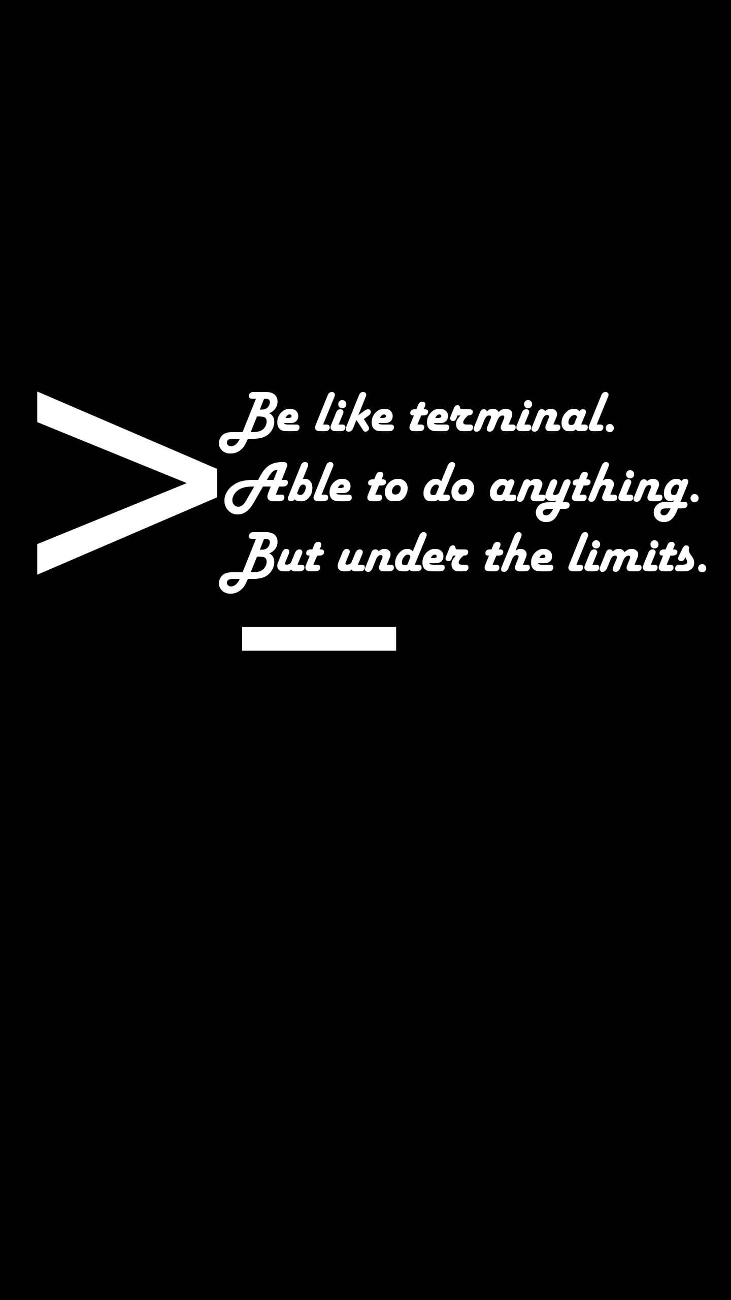 Programming iPhone, terminal, white text, 2K Phone Wallpaper