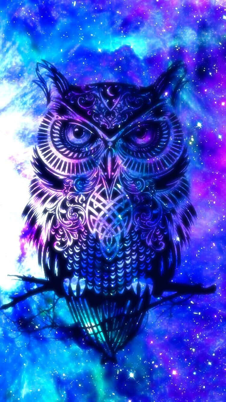 Psychedelic Animals, owl, tribal patterns, HD Phone Wallpaper