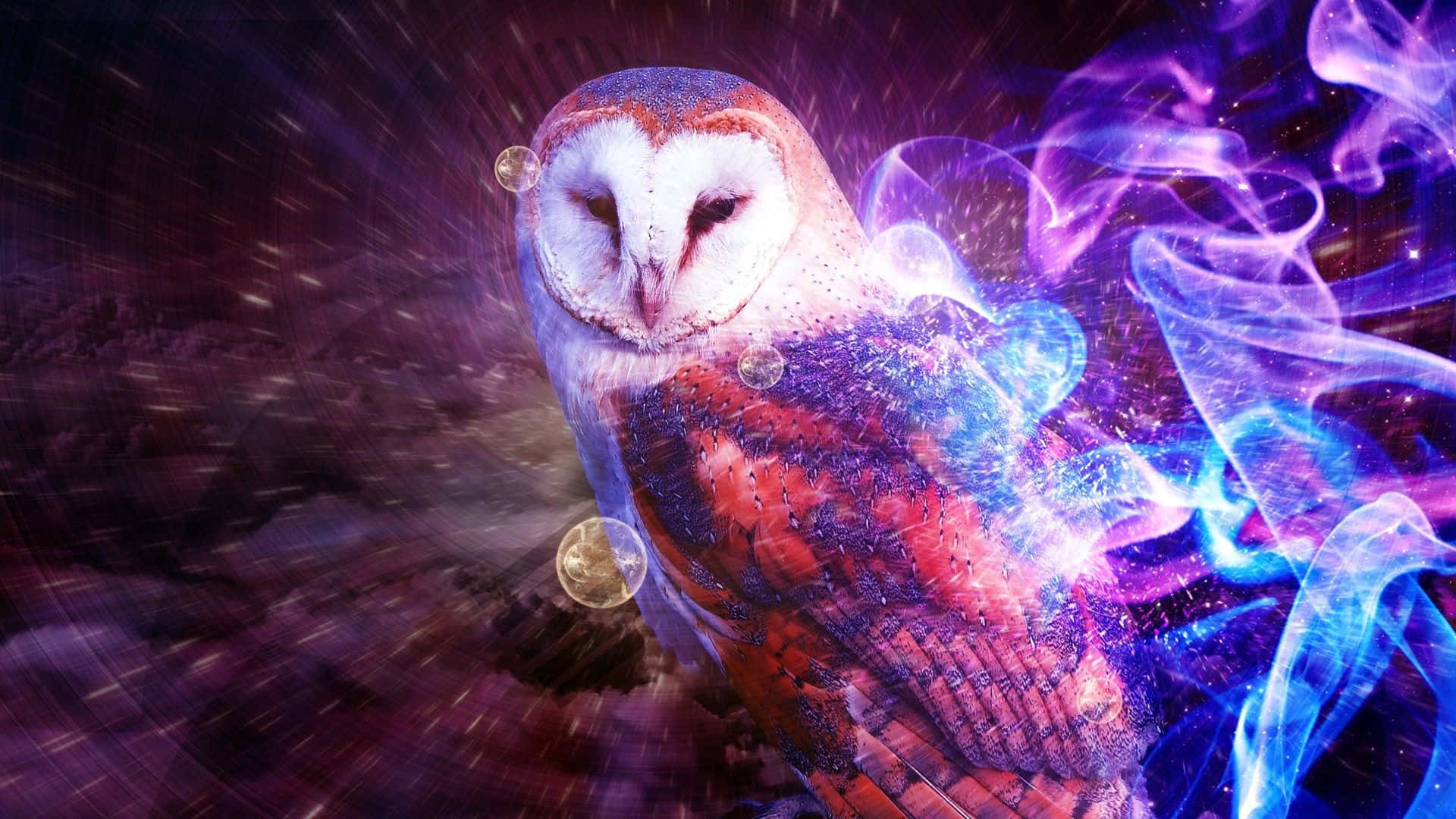 psychedelic animals, barn owl, glowing eyes, Full HD Desktop Wallpaper