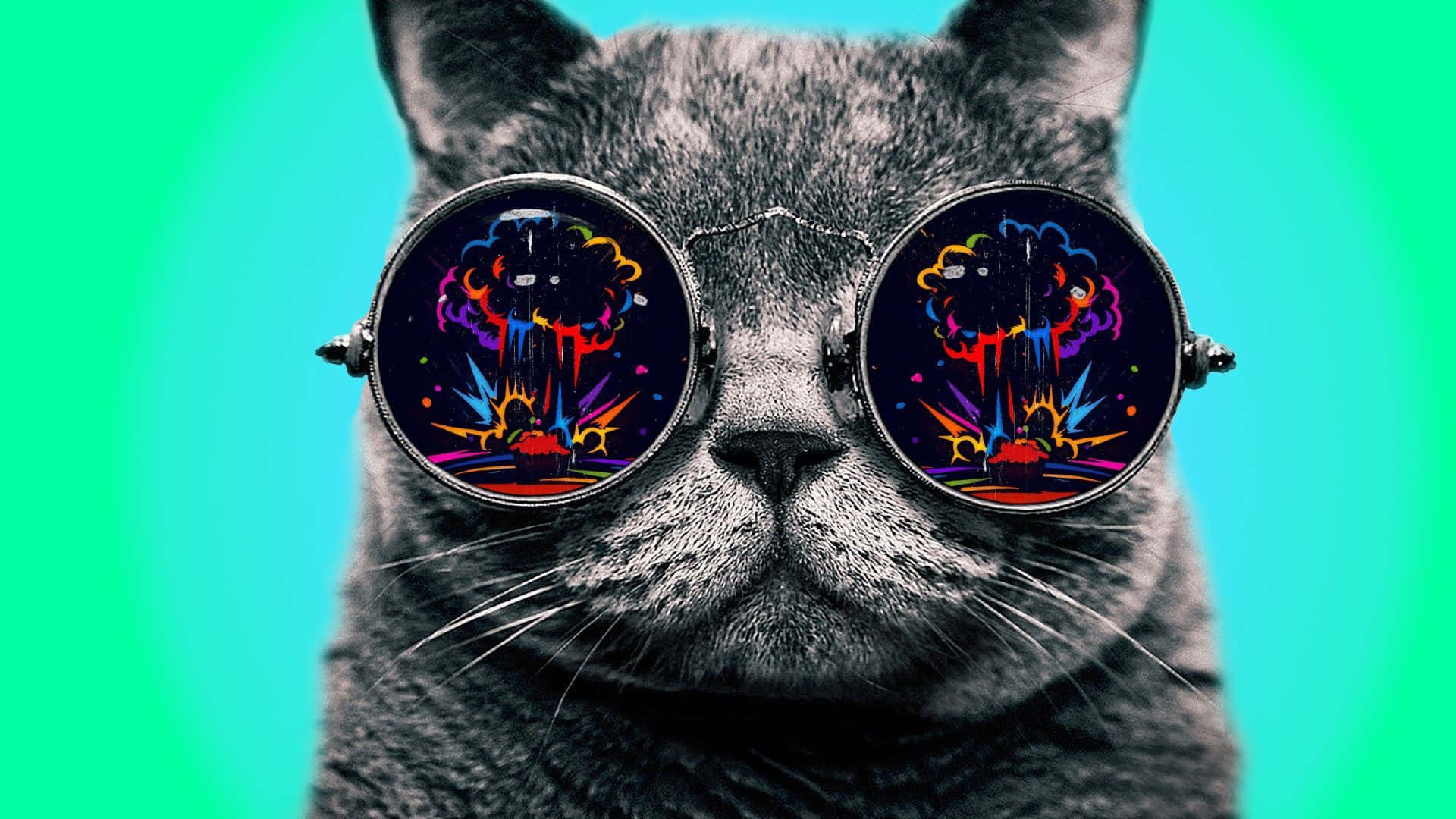 gray cat, round glasses, psychedelic explosions, Full HD Desktop Wallpaper