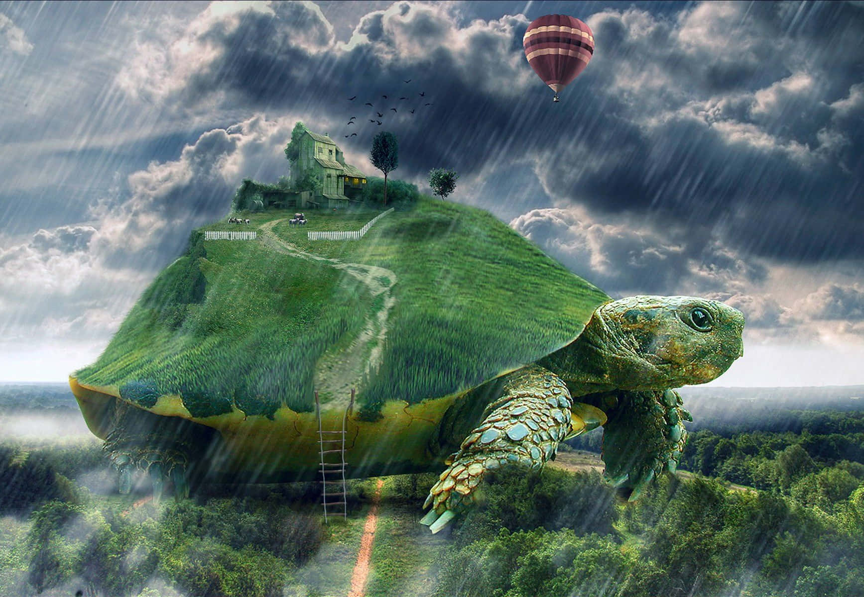 green turtle, lush island, house, HD Desktop Wallpaper