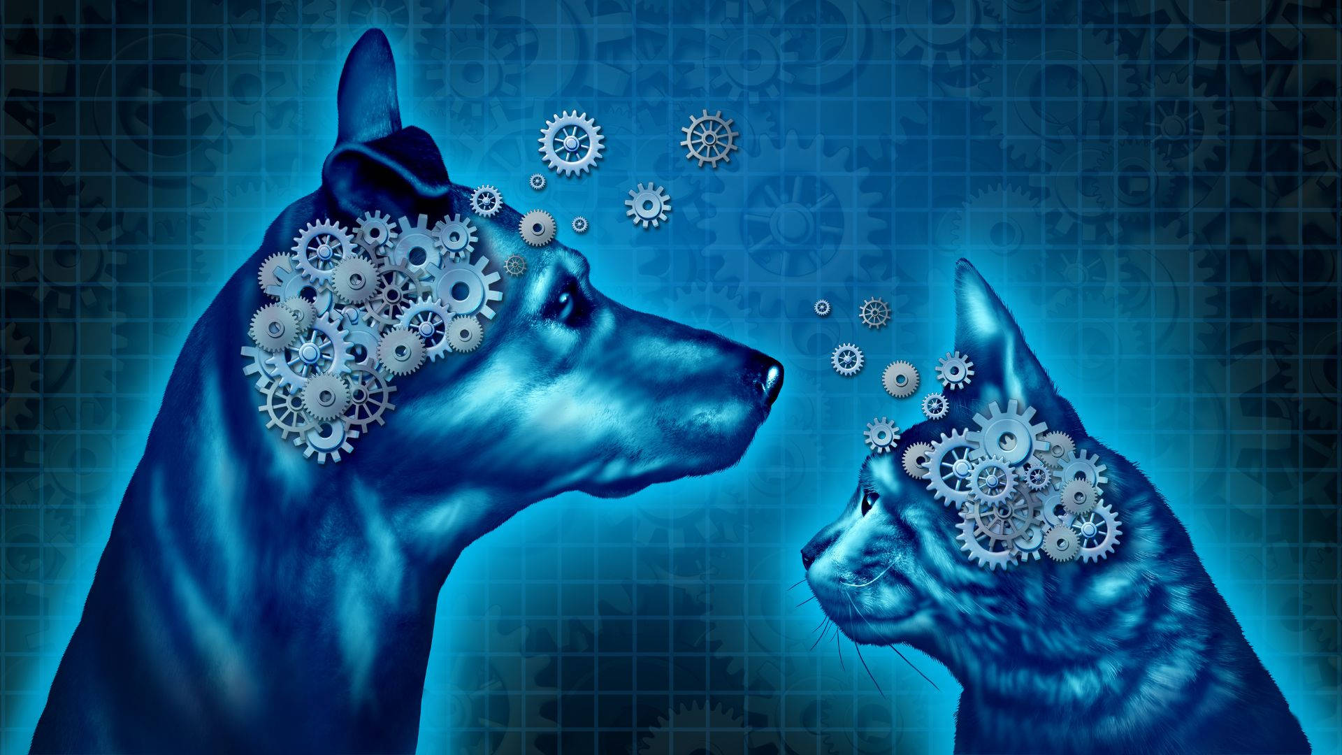 Psychology Dog Cat Mechanical Mind, mechanical gears, blue grid background, Full HD Desktop Wallpaper