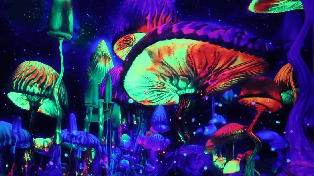 Psychedelic Mushroom