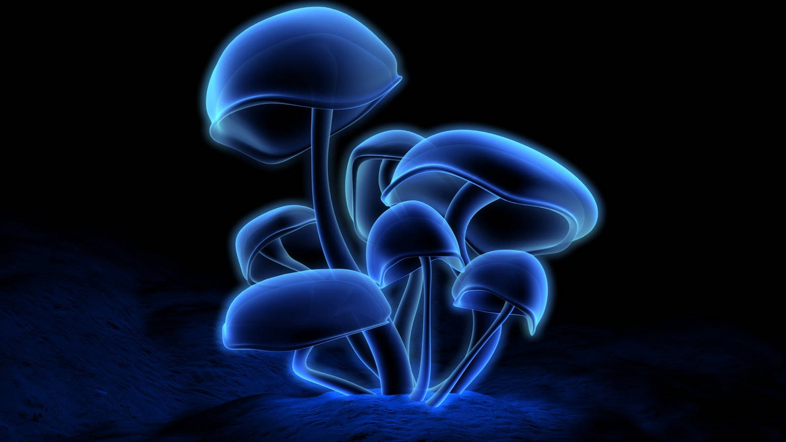 Psychedelic Mushroom, glowing blue, translucent caps, HD Desktop Wallpaper