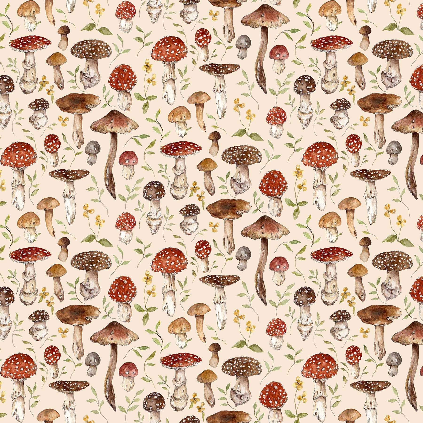 vintage, cute mushroom, red-capped mushrooms, HD Desktop Wallpaper