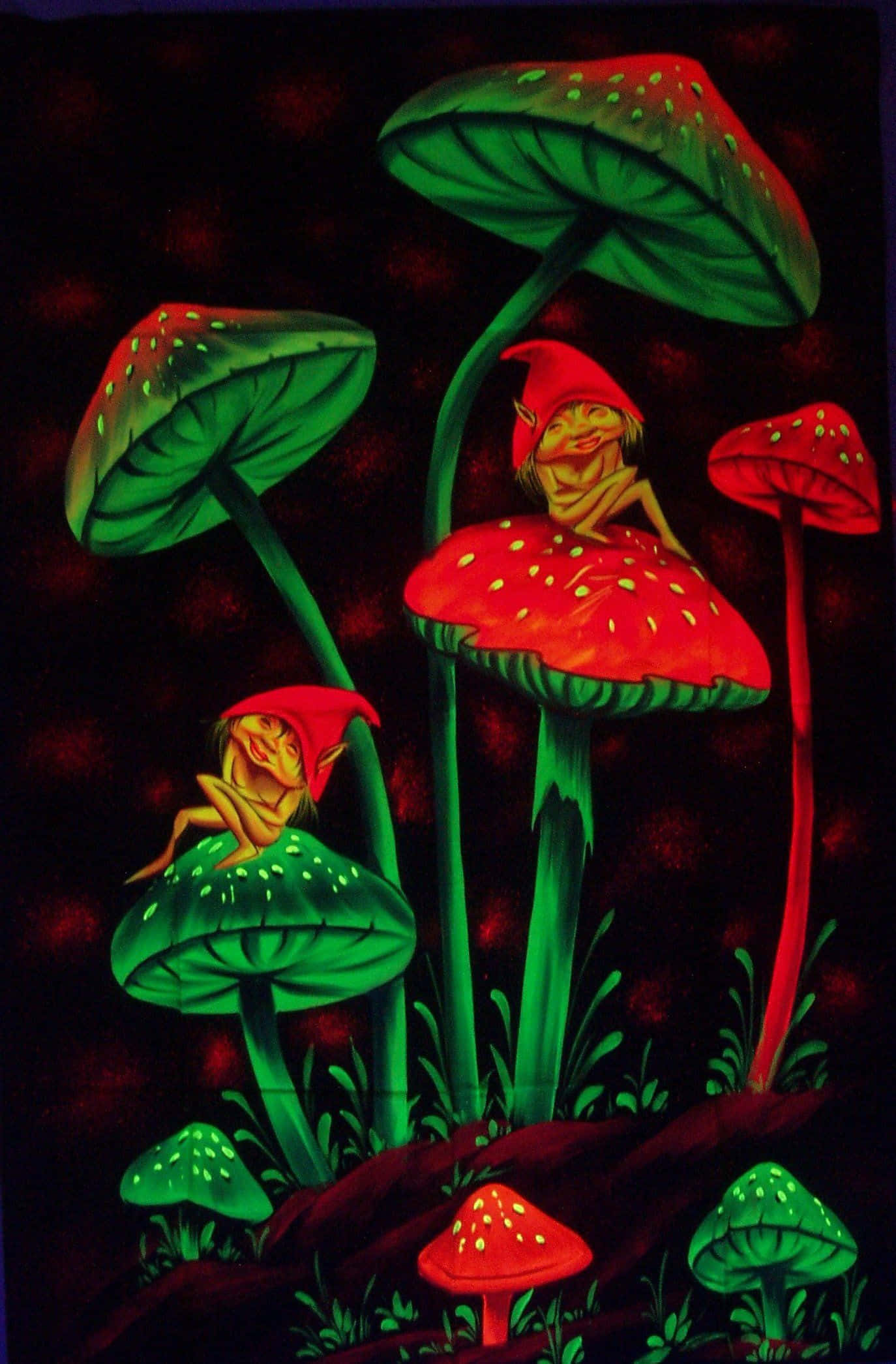 gnomes, red hats, giant red and green mushrooms, Full HD Phone Wallpaper