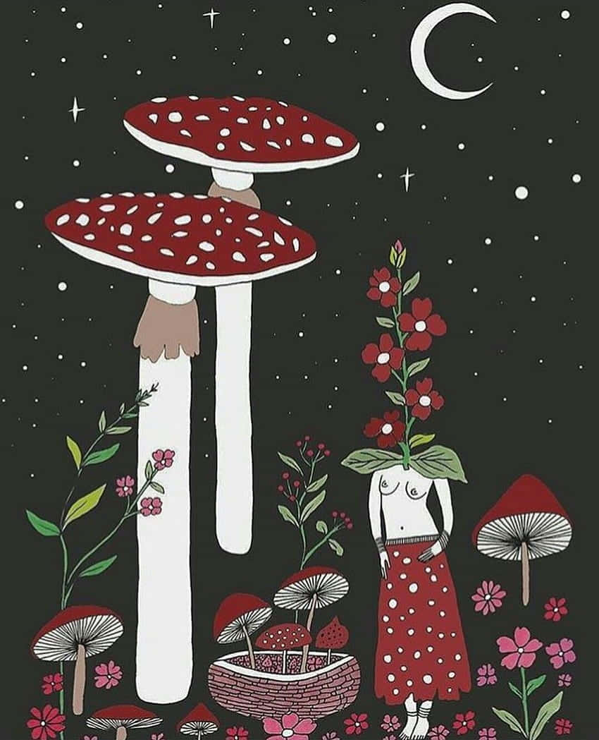 vintage cute mushroom surreal art, flower head, giant red mushrooms, SD Phone Wallpaper