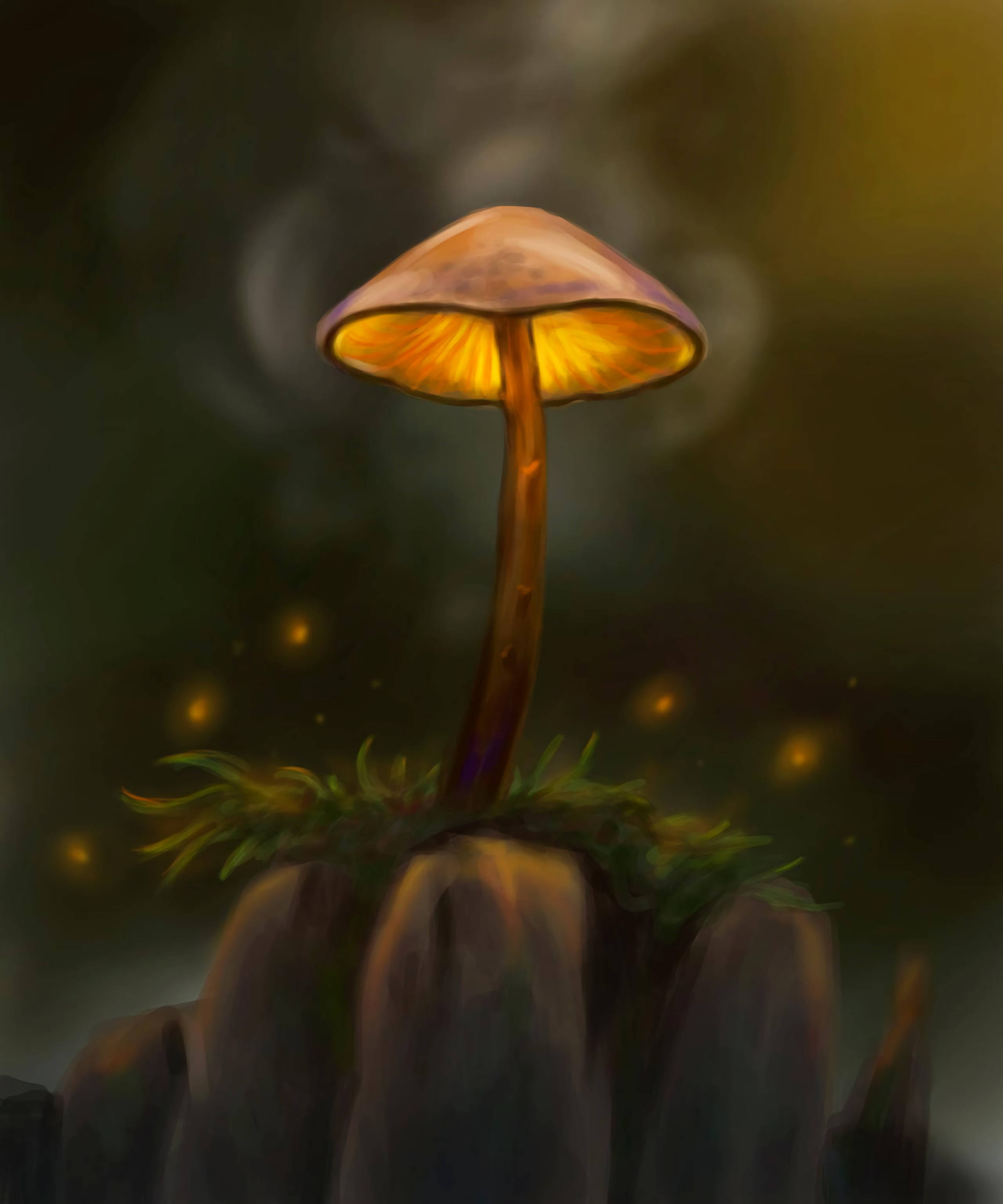 magical mushroom, glowing mushroom, warm amber light, 2K Phone Wallpaper