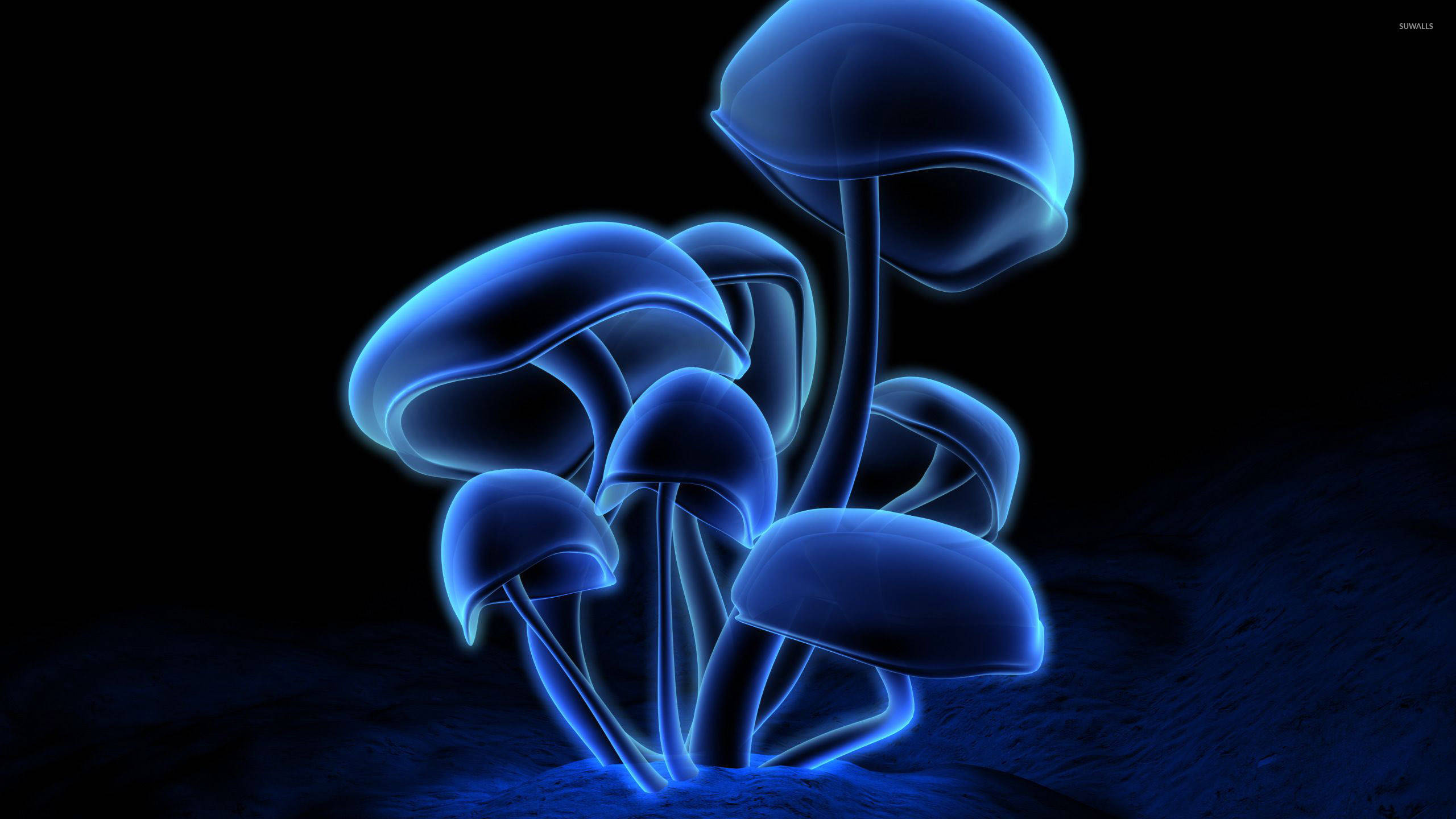 neon mushroom aesthetic, glowing blue mushrooms, translucent caps, 2K Desktop Wallpaper