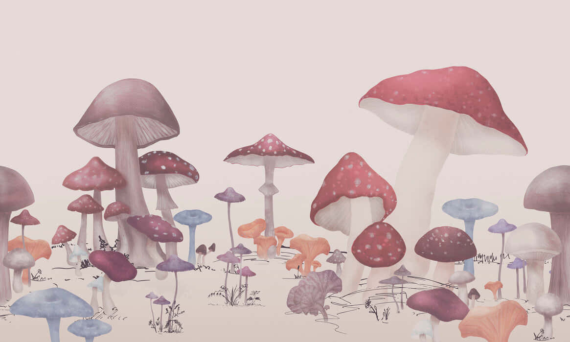 vintage cute mushroom aesthetic pastel, whimsical forest, oversized mushrooms, SD Desktop Wallpaper