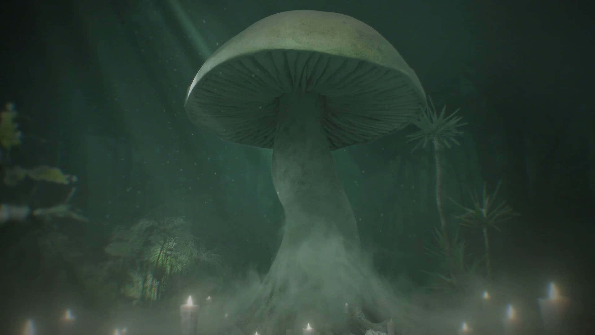 Enchanted Forest Mushroom, colossal mushroom, textured cap, Full HD Desktop Wallpaper