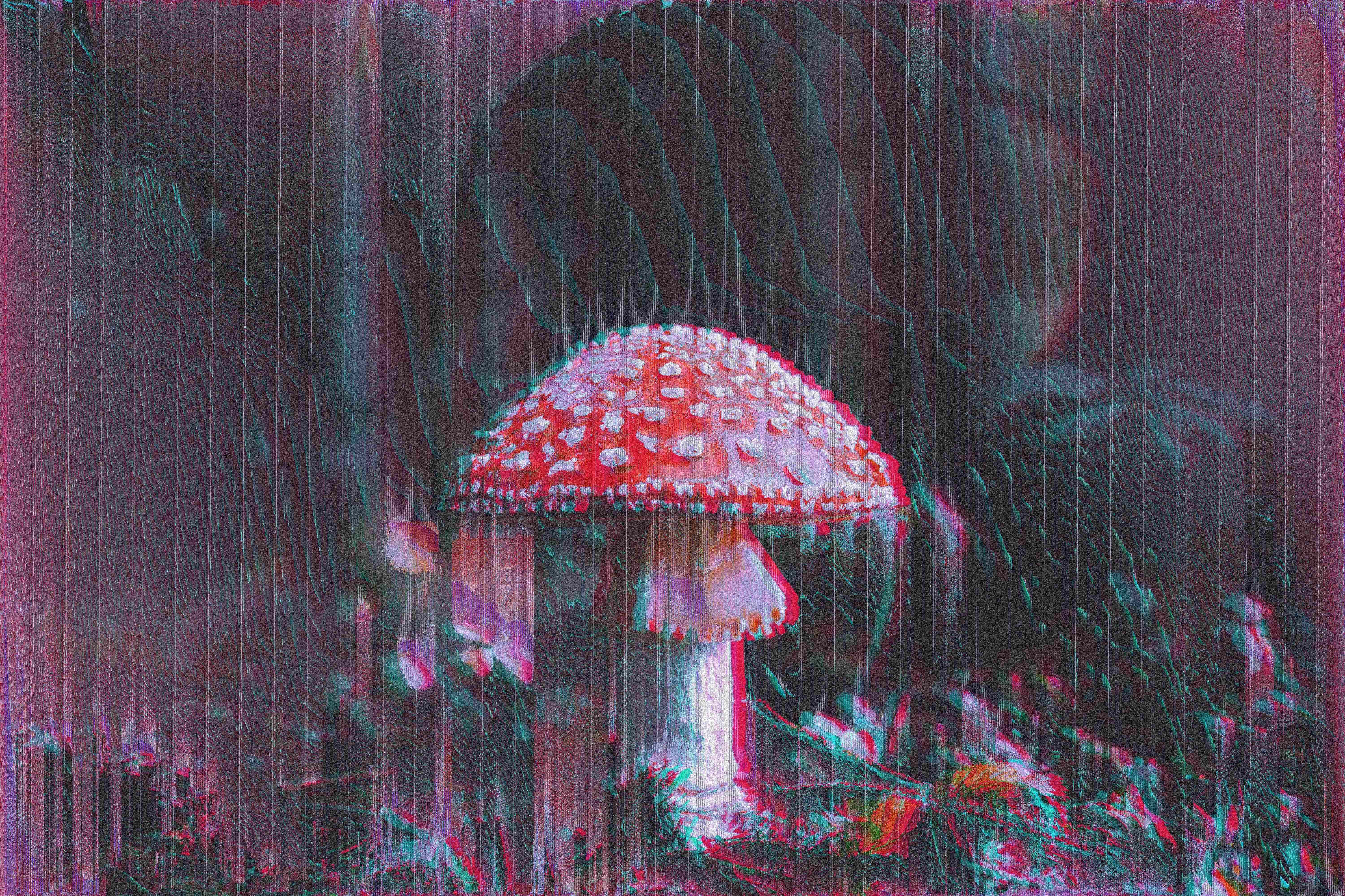 Psychedelic Mushroom, glitch art, vibrant red mushroom, 5K Desktop Wallpaper