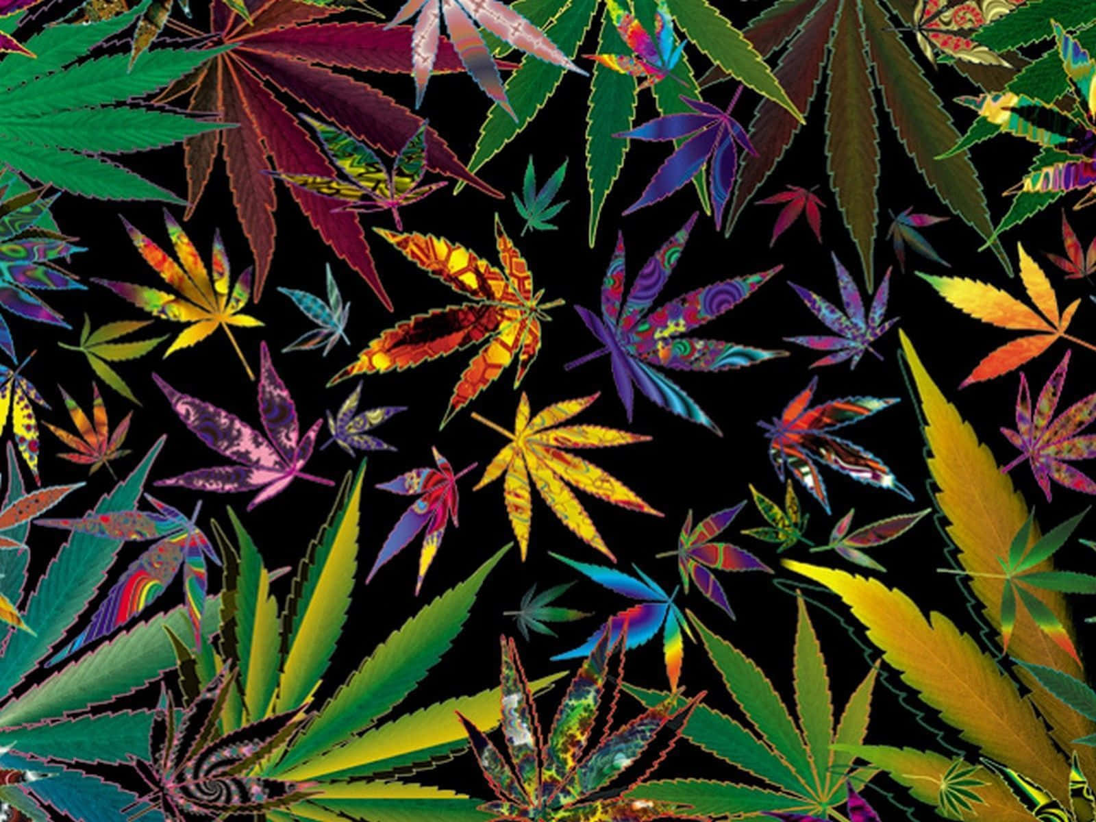 Psychedelic Weed, rainbow hues, cannabis leaves, HD Desktop Wallpaper