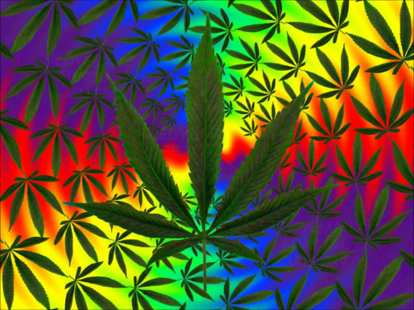 Psychedelic Weed, rainbow gradient, cannabis leaf, HD Desktop Wallpaper