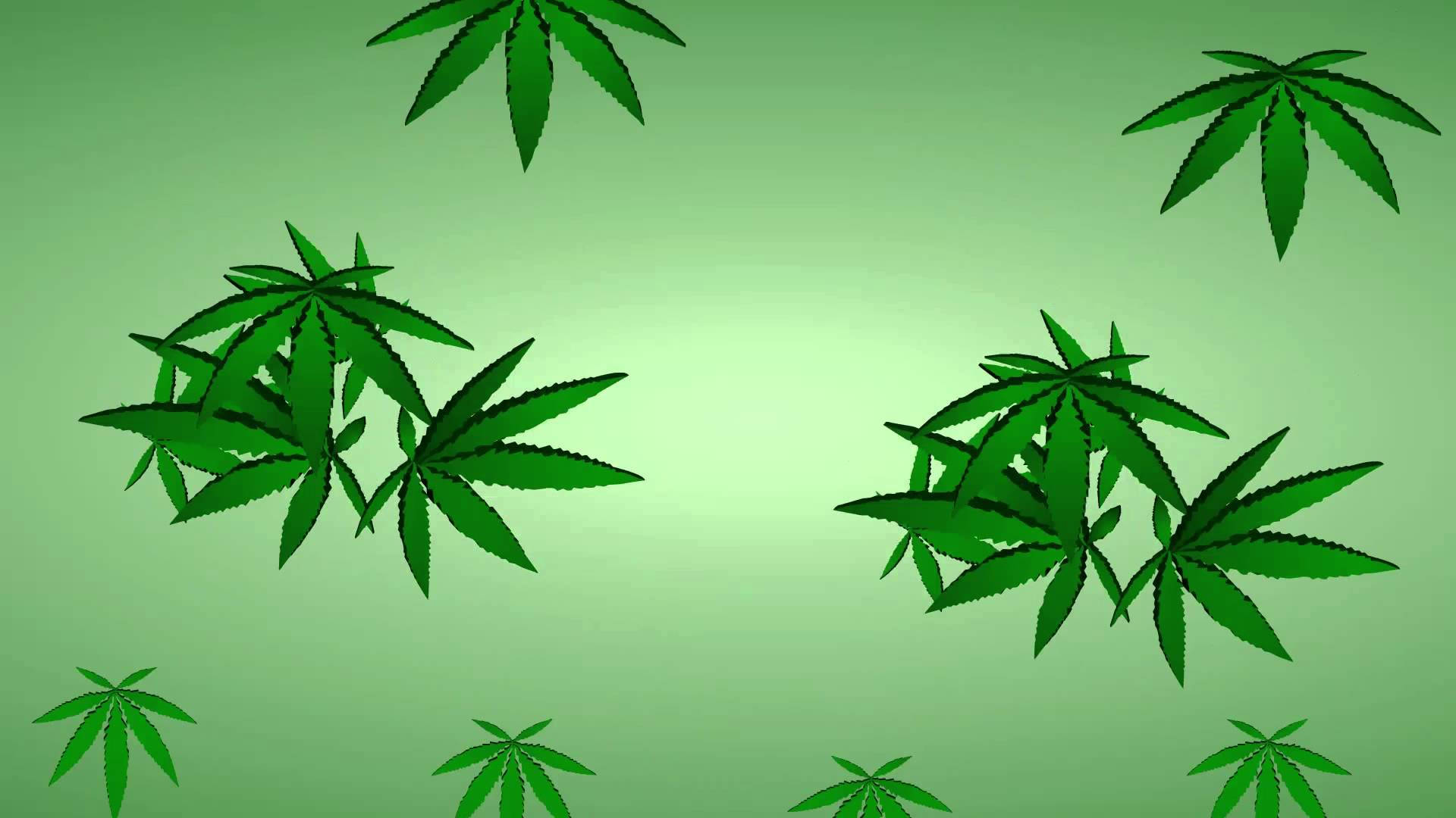 cannabis leaves, vibrant green, soft gradient green background, Full HD Desktop Wallpaper