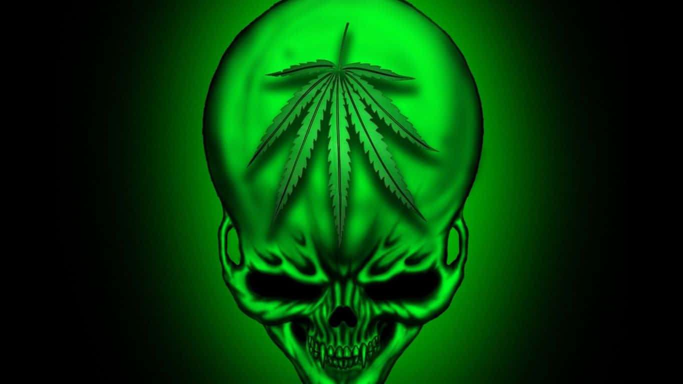 green skull, cannabis leaf, glowing green, HD Desktop Wallpaper