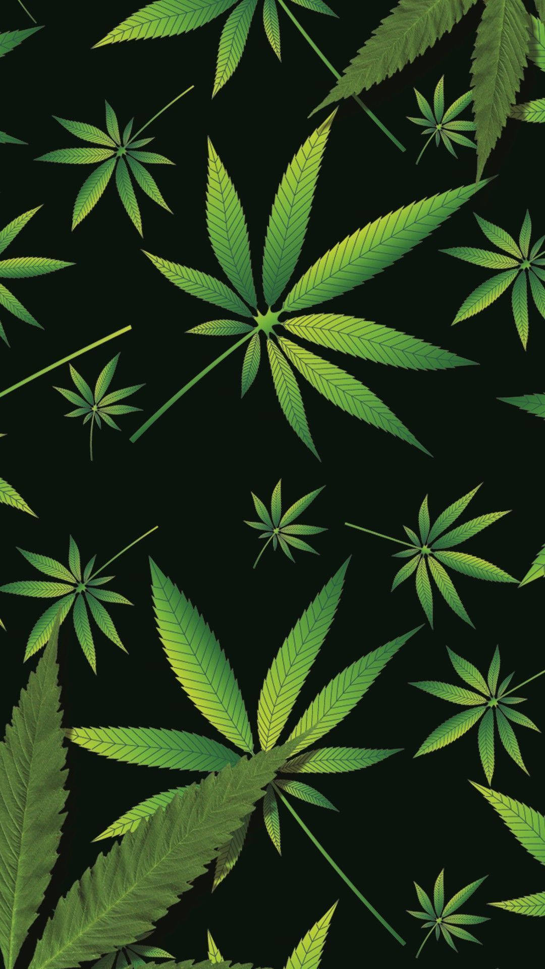 Minimalist Cool Weed Portrait, vibrant green cannabis leaves, deep black background, Full HD Phone Wallpaper