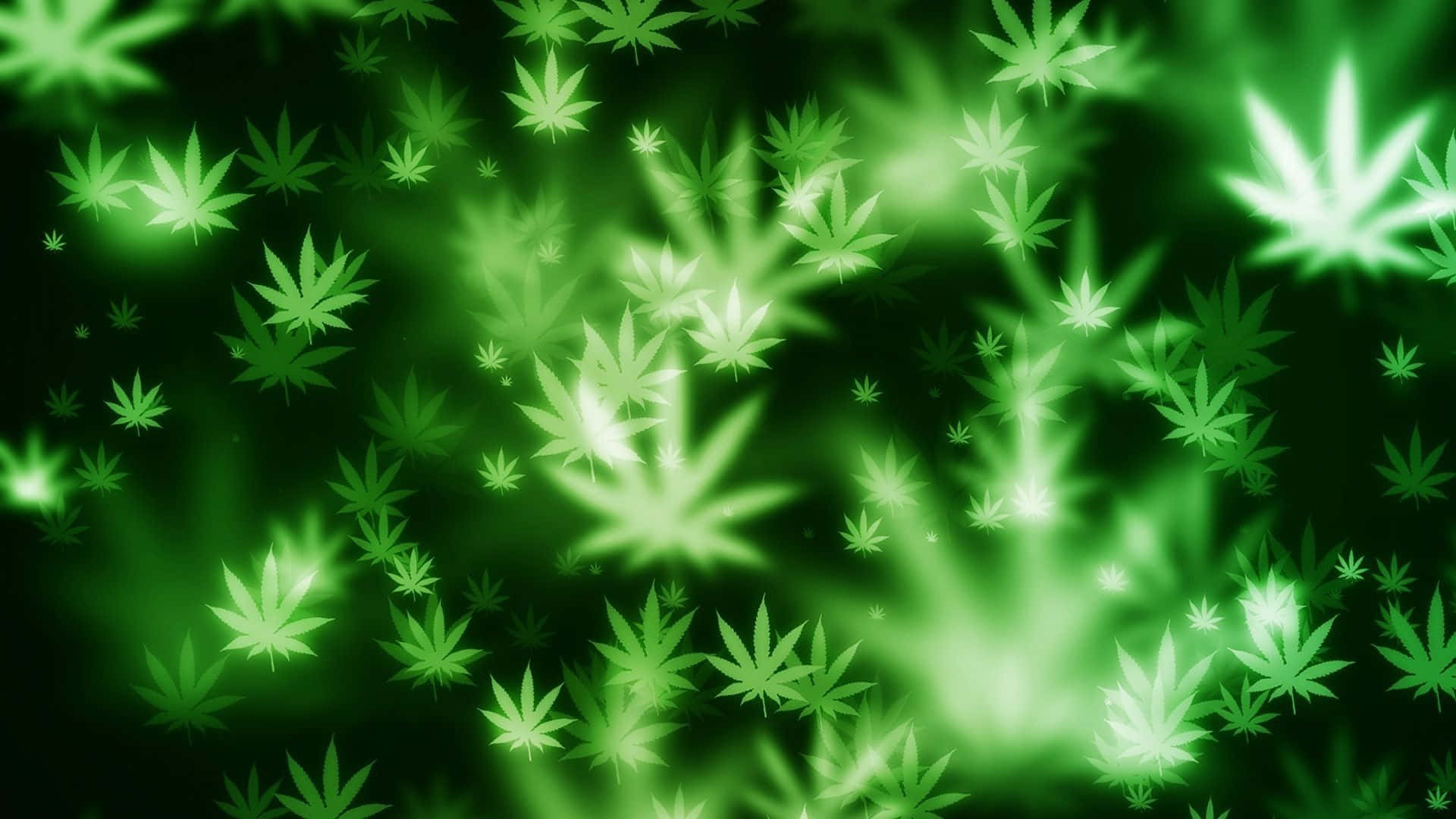 Neon Green, Psychedelic Weed Art, cannabis leaves, Full HD Desktop Wallpaper