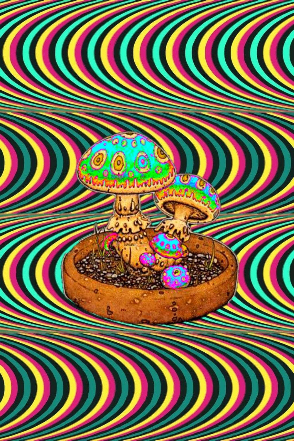 psychedelic mushrooms, terracotta pot, swirling rainbow vortex, HD Phone Wallpaper