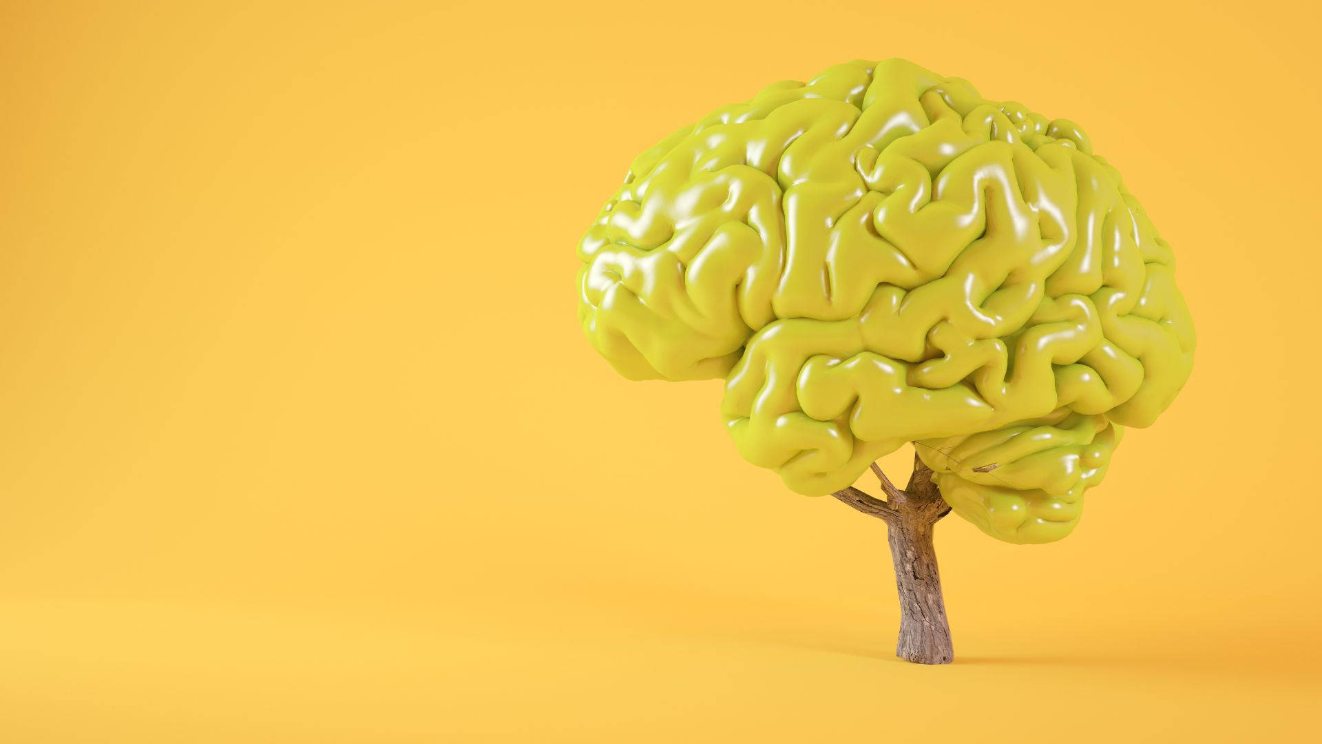 psychology, yellow brain model, lime-green, Full HD Desktop Wallpaper