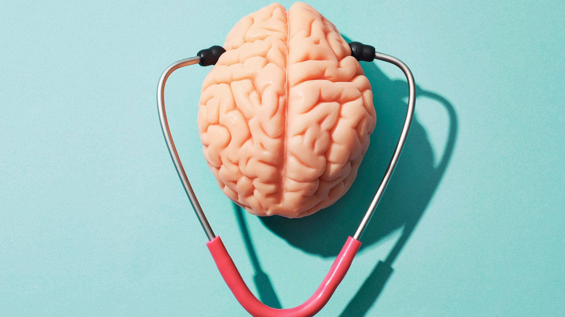 psychology, brain model, stethoscope, Full HD Desktop Wallpaper