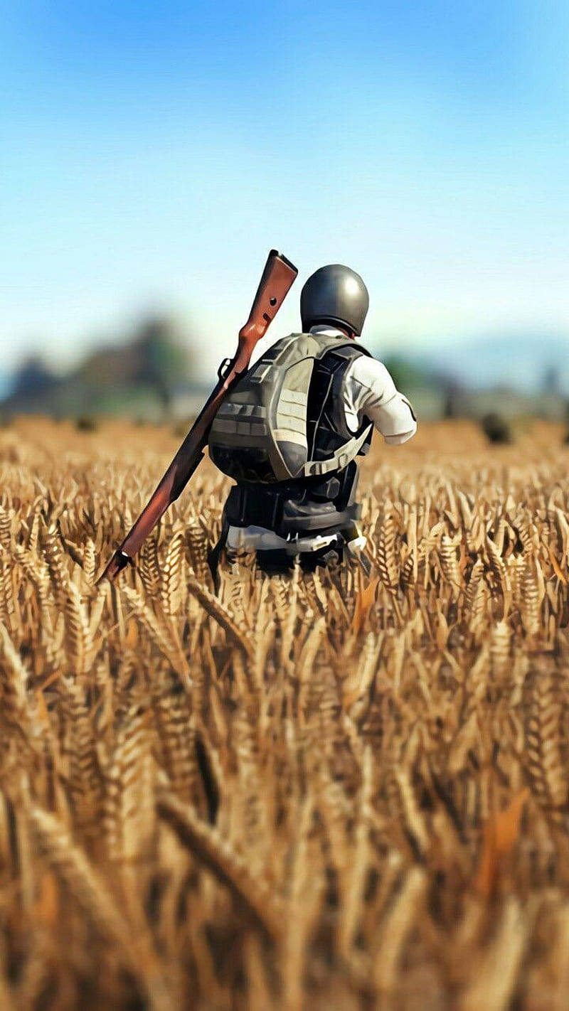 PUBG 3D Live HD, wheat field, soldier, HD Phone Wallpaper