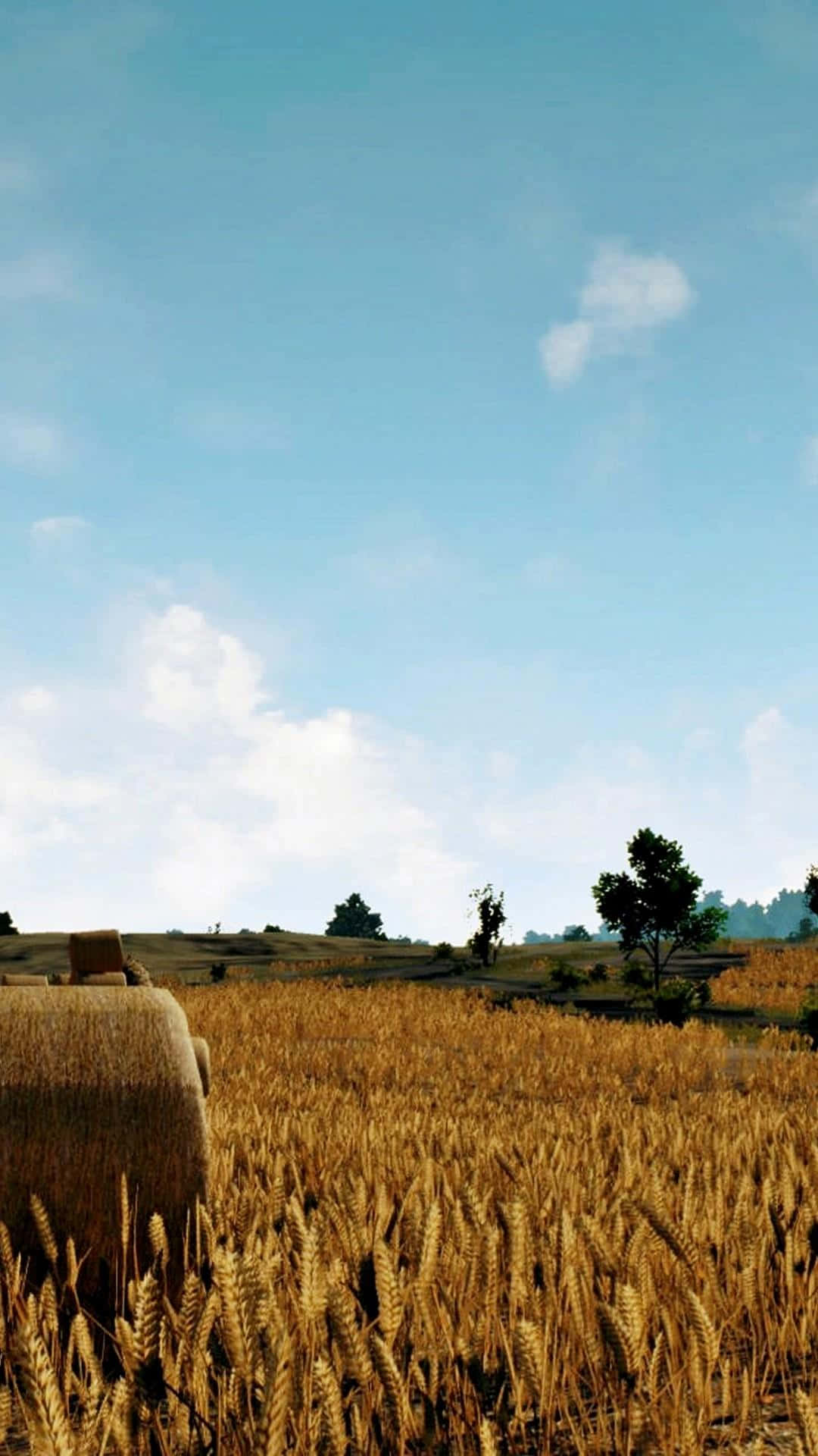 PUBG, iPhone, Rice Field Scenery, Full HD Phone Wallpaper