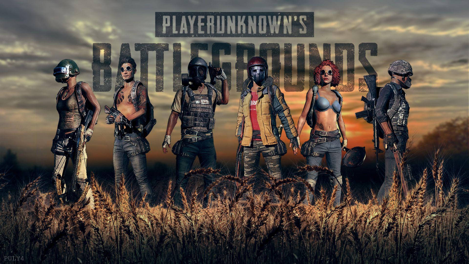 PUBG Lite, golden wheat field, sunset, Full HD Desktop Wallpaper