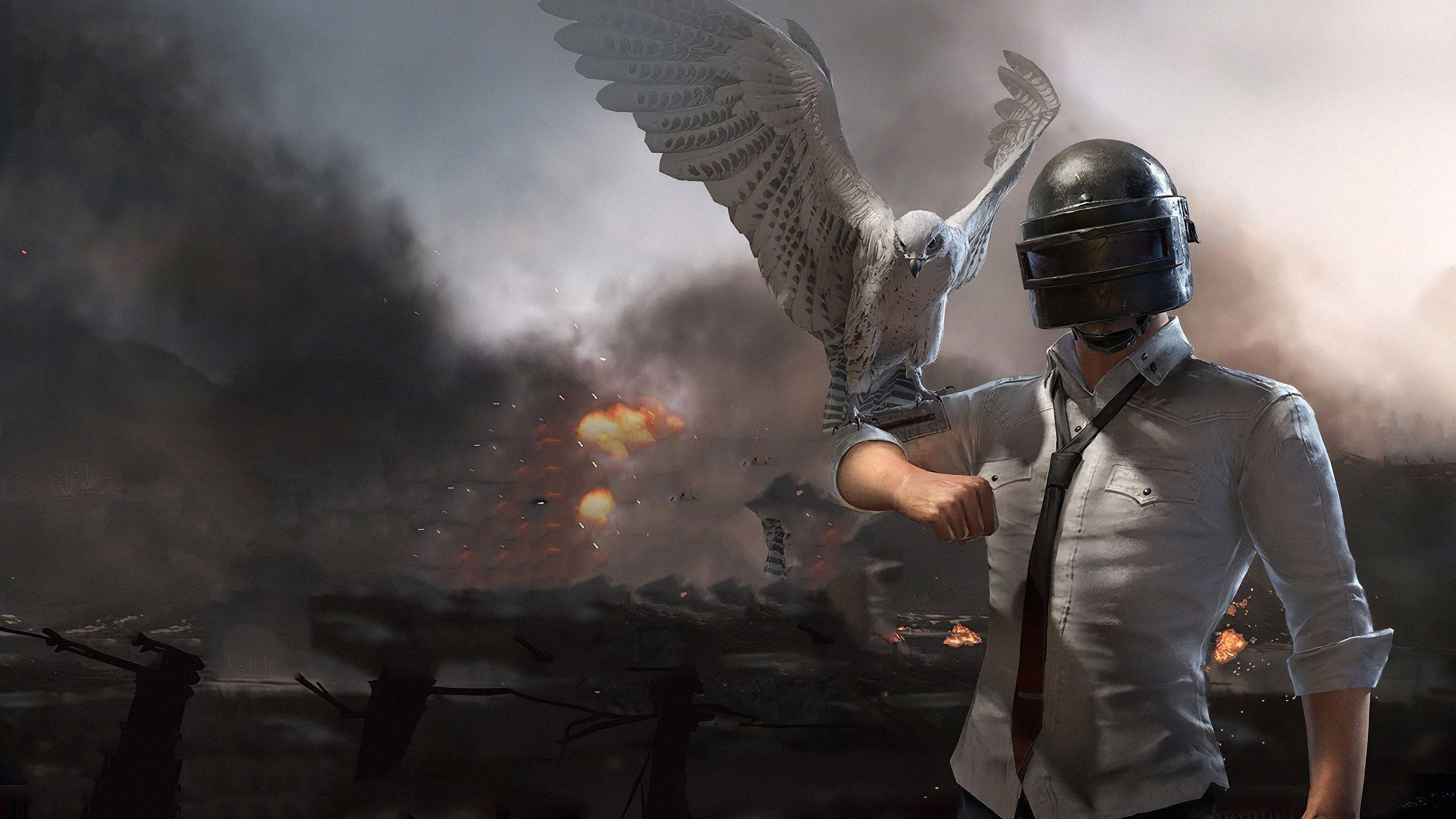 PUBG 2020, helmet guy, white hawk, 2K Desktop Wallpaper