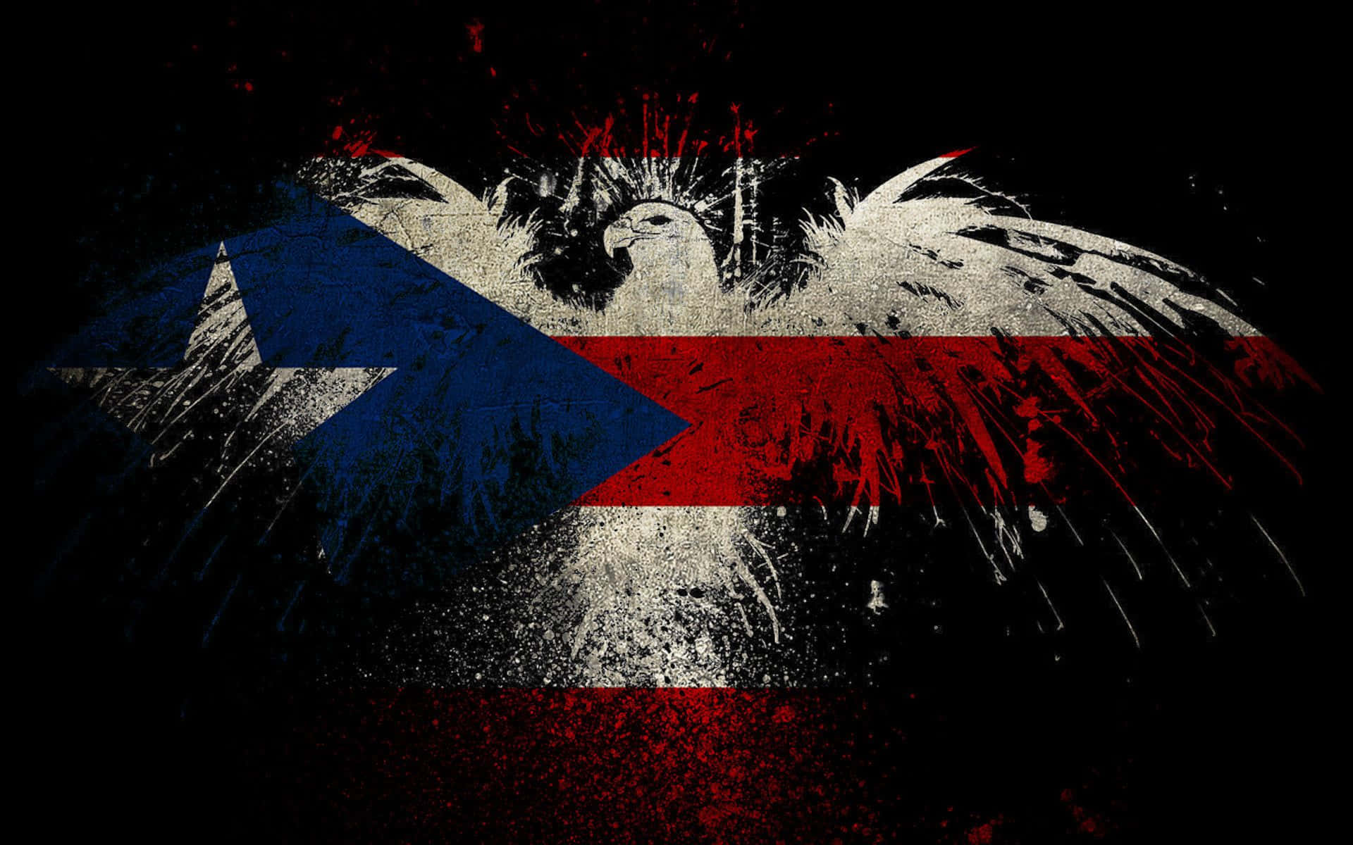Puerto Rican flag, crowned eagle, black background, Full HD Desktop Wallpaper