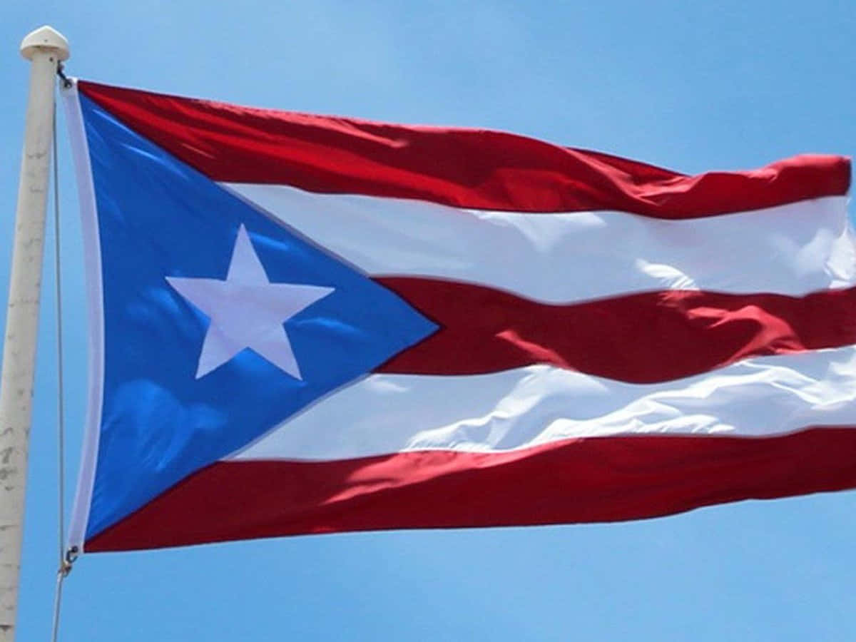Puerto Rican, Puerto Rican flag, red white stripes, SD Desktop Wallpaper