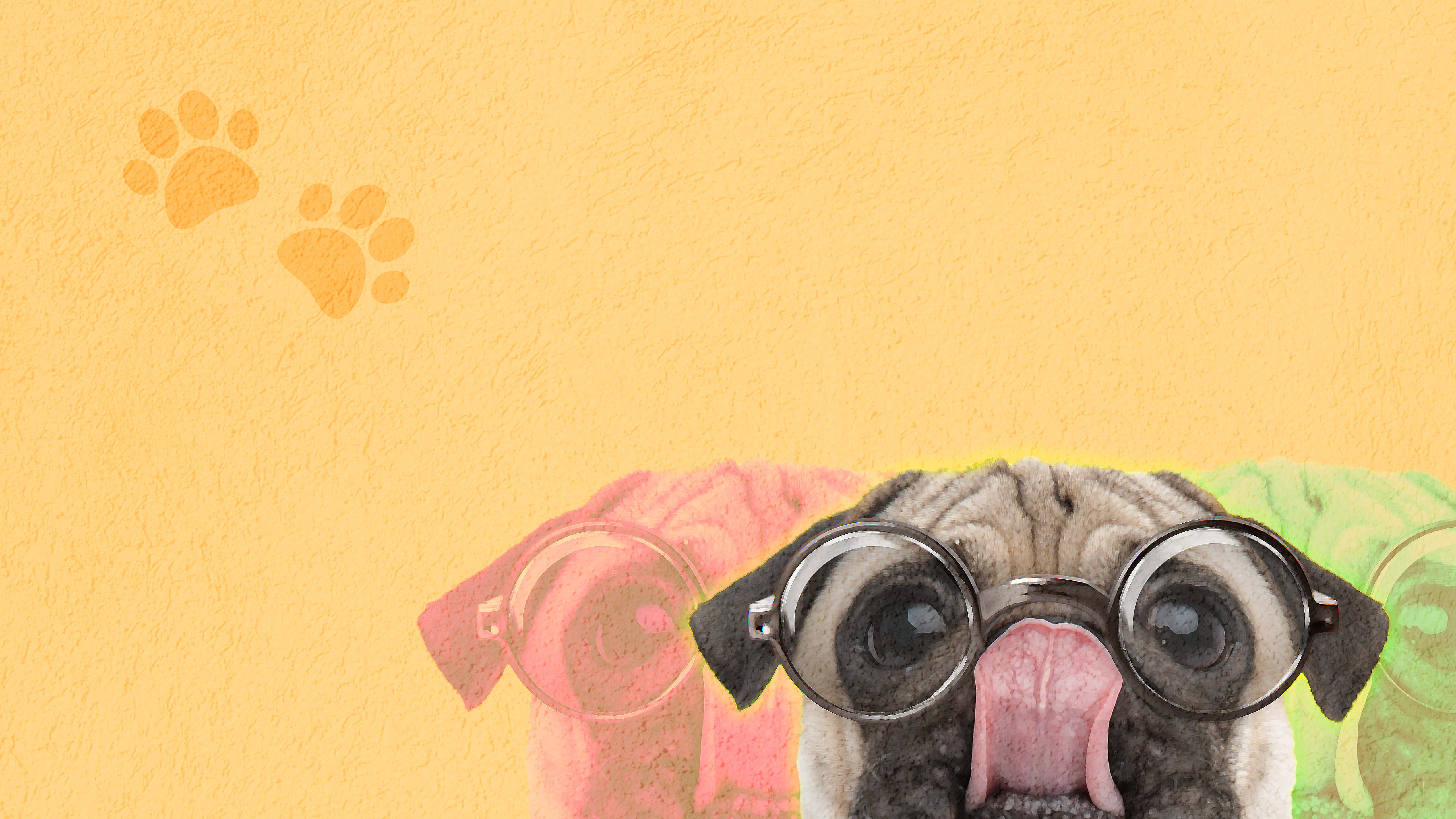 Pug, round glasses, tongue, 5K Desktop Wallpaper