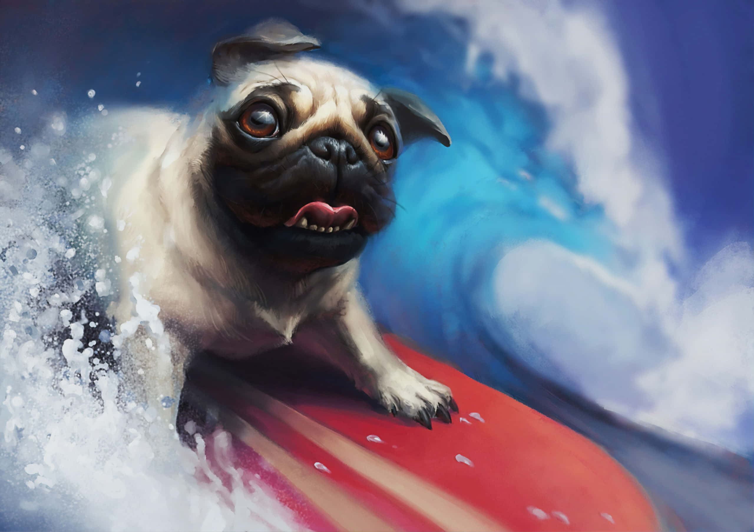 pug, red surfboard, blue wave, 2K Desktop Wallpaper
