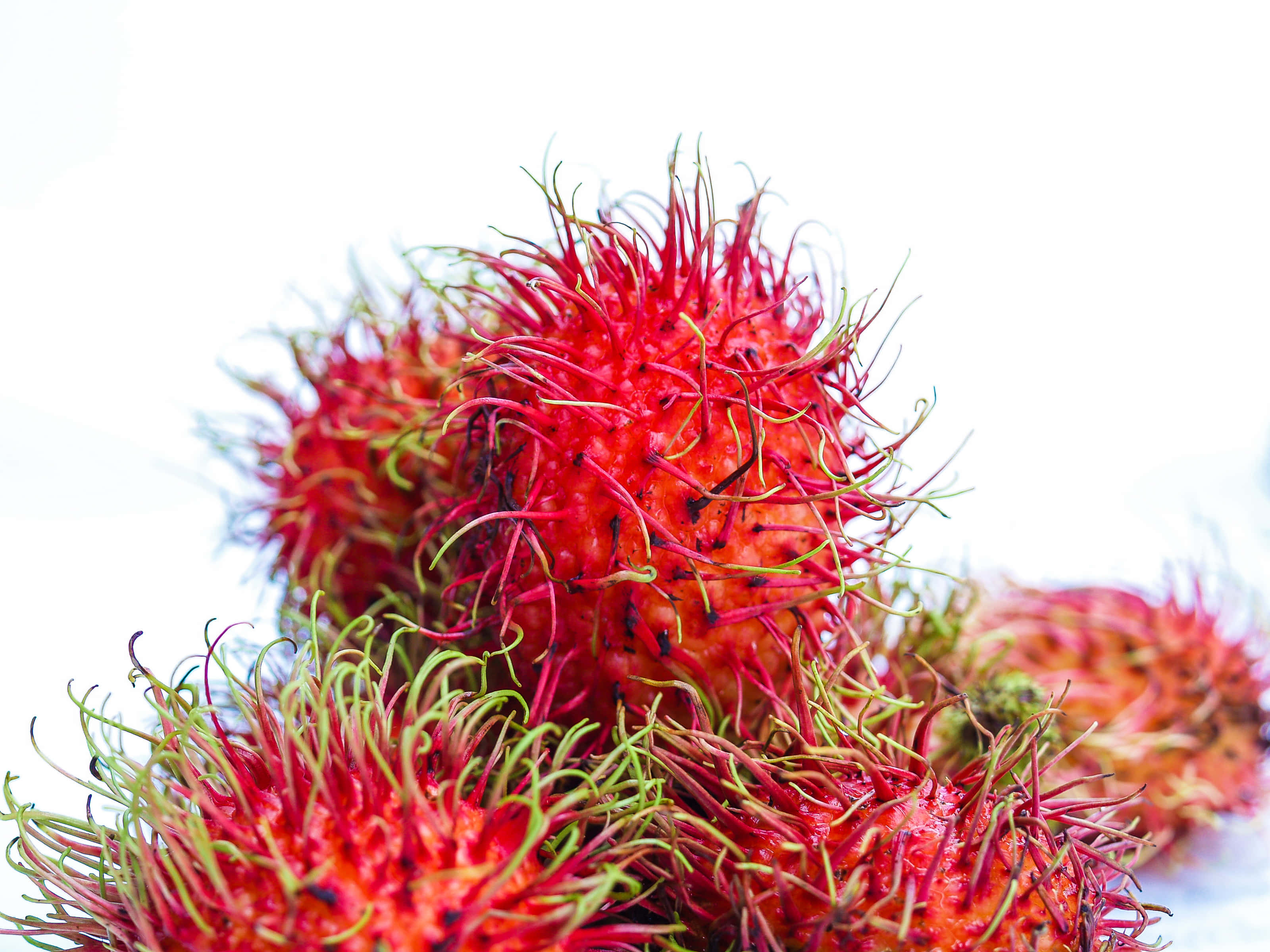 Pulasan, red rambutans, green spines, 2K Desktop Wallpaper