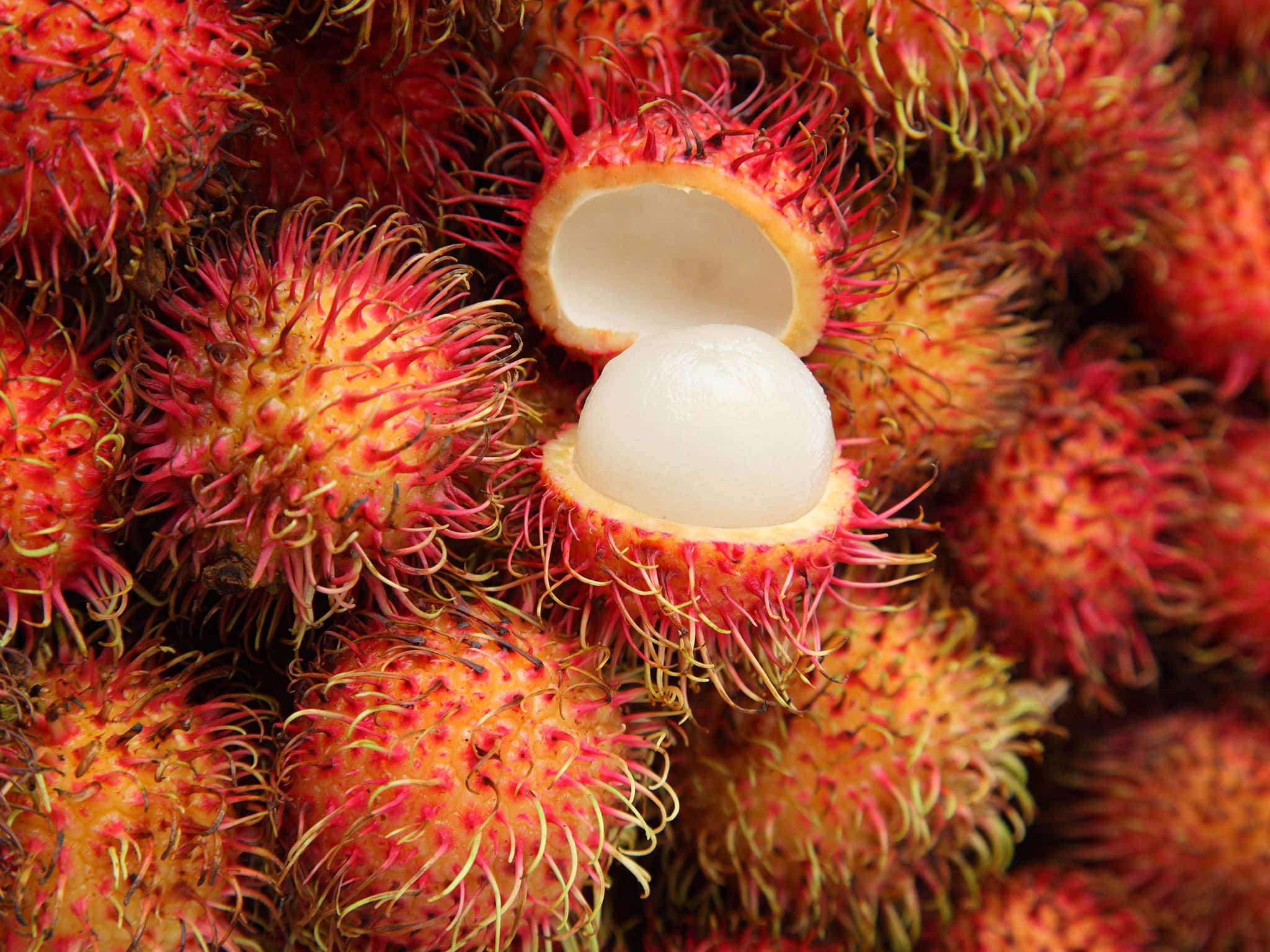 pulasan fruits, vibrant red hairy rambutans, translucent white flesh, Full HD Desktop Wallpaper