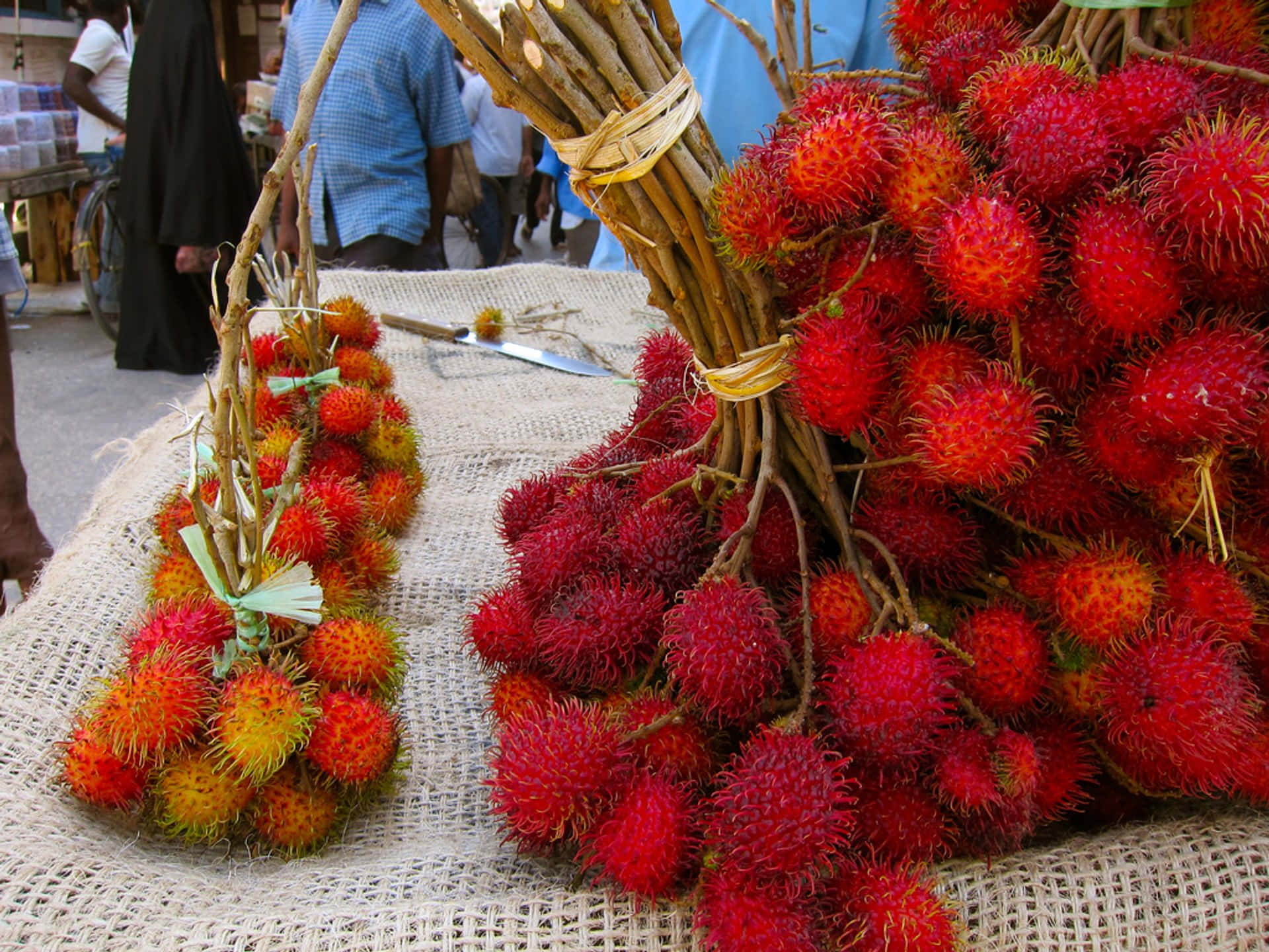 Pulasan, vibrant red, spiky hairs, Full HD Desktop Wallpaper