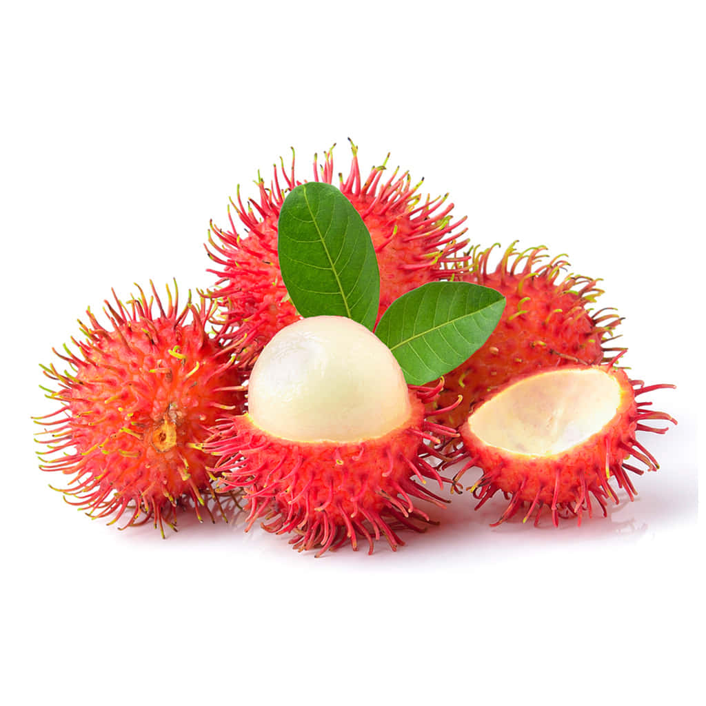 Pulasan, ripe fruits, vibrant red rambutans, SD Desktop Wallpaper