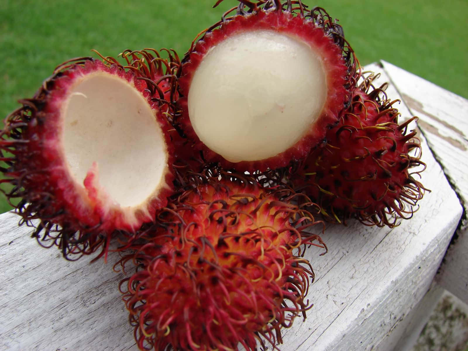 Pulasan, ripe, vibrant red hairy exteriors, HD Desktop Wallpaper