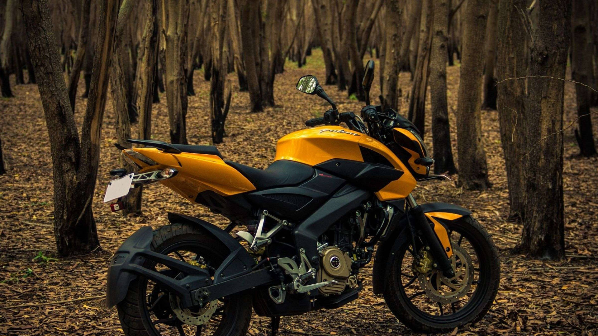Pulsar Rs200, forest, vibrant yellow, Full HD Desktop Wallpaper