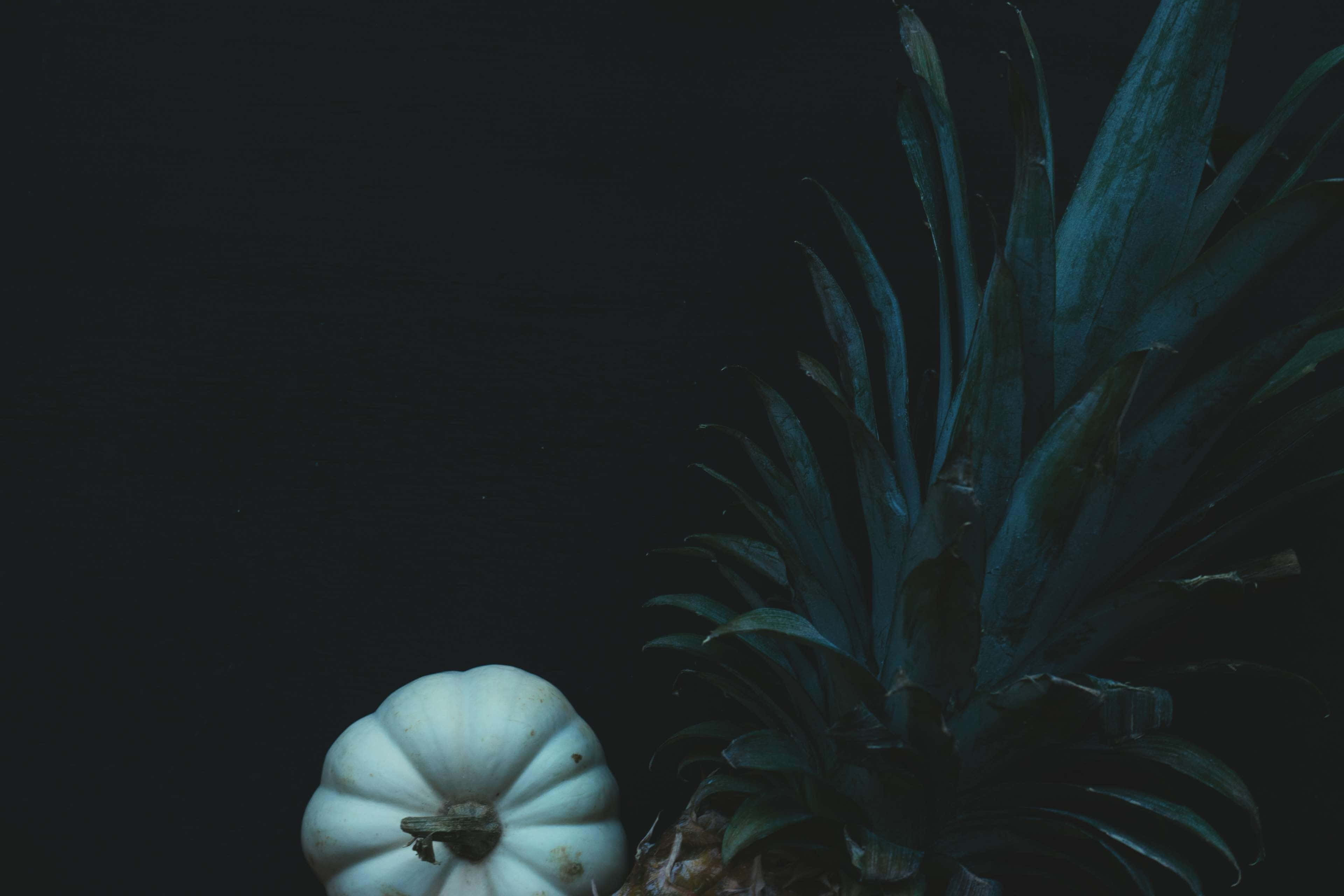 white pumpkin, pineapple, deep black background, 4K Desktop Wallpaper