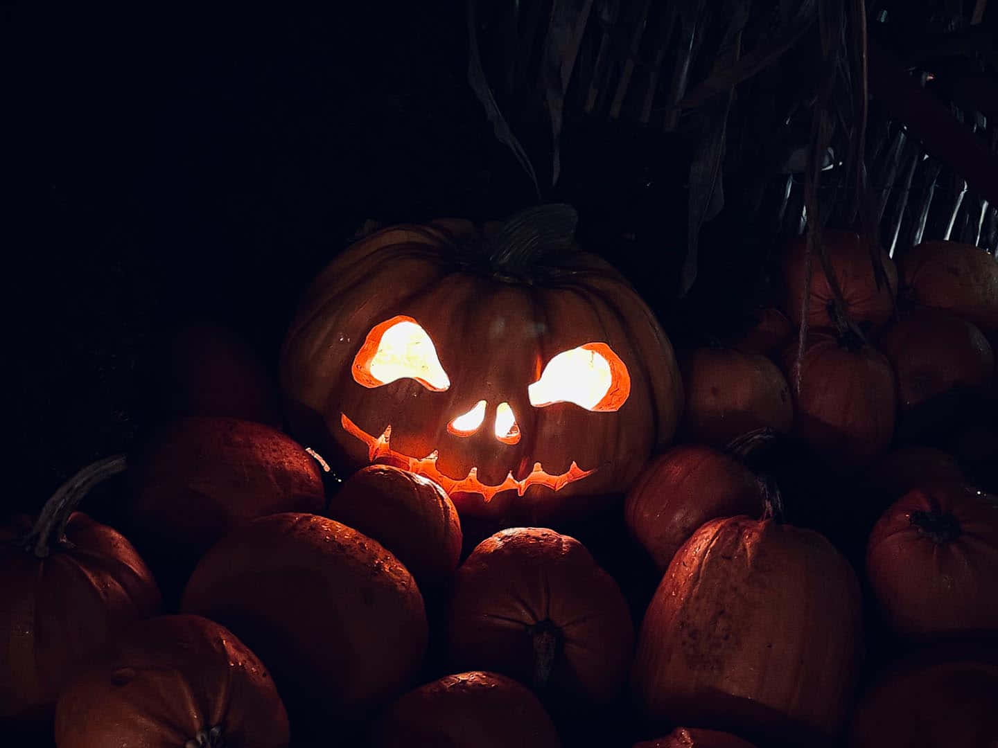 glowing jack o lantern, triangular eyes, jagged teeth, HD Desktop Wallpaper