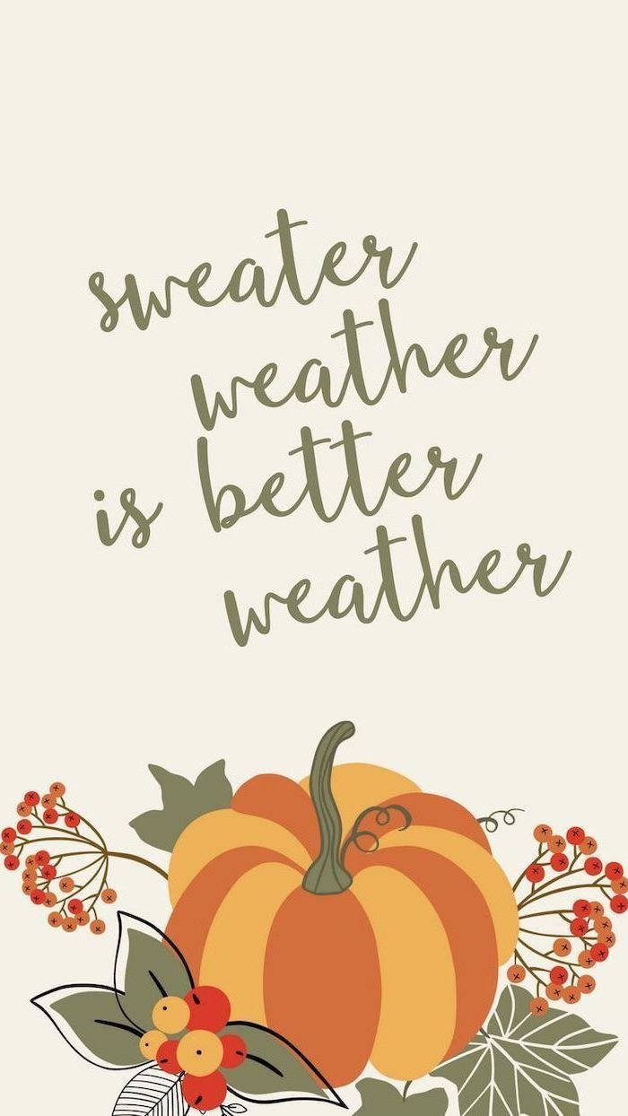 Thanksgiving Aesthetic, striped pumpkin, red berries, SD Phone Wallpaper
