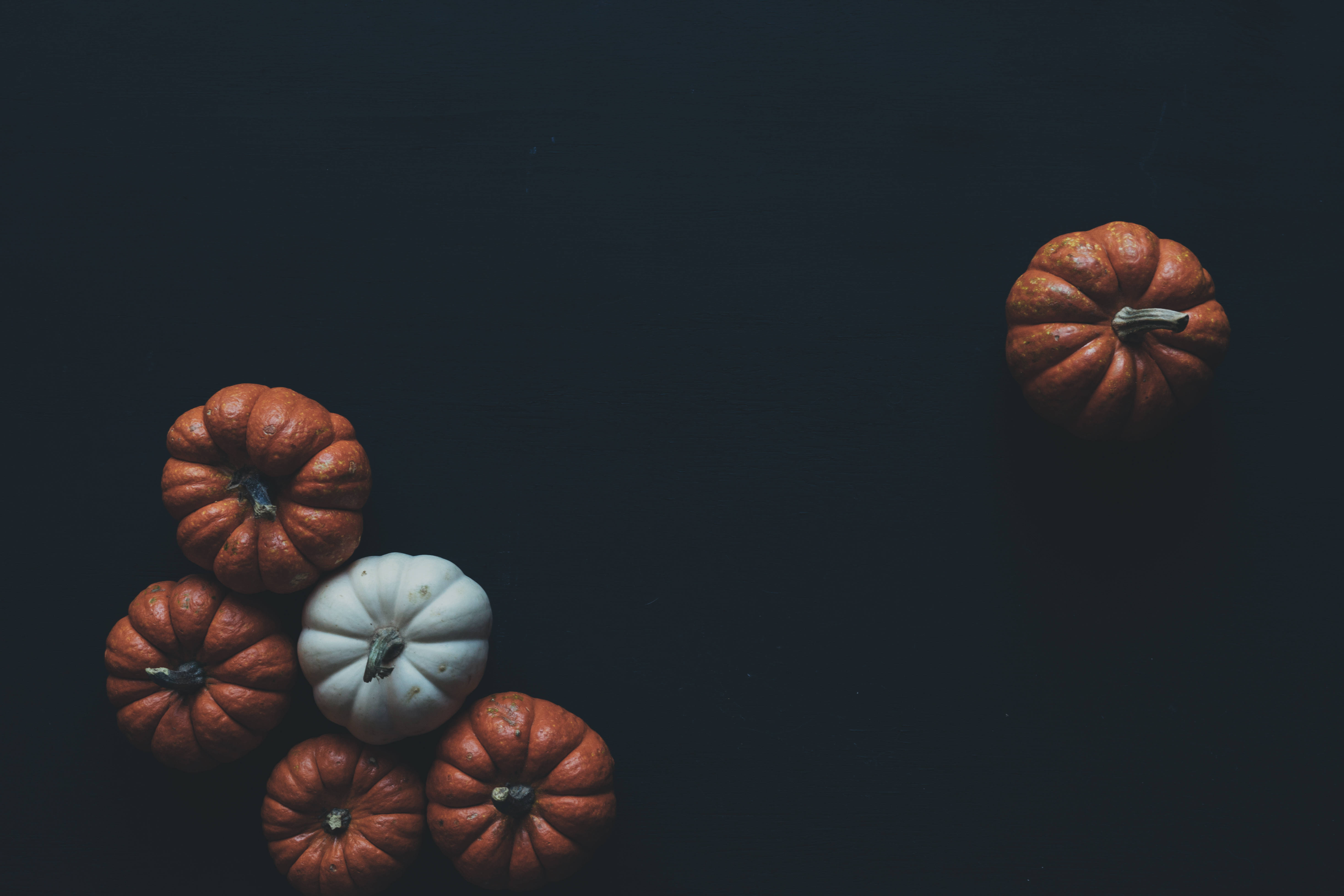 black background, pumpkins, white pumpkin, 5K Desktop Wallpaper
