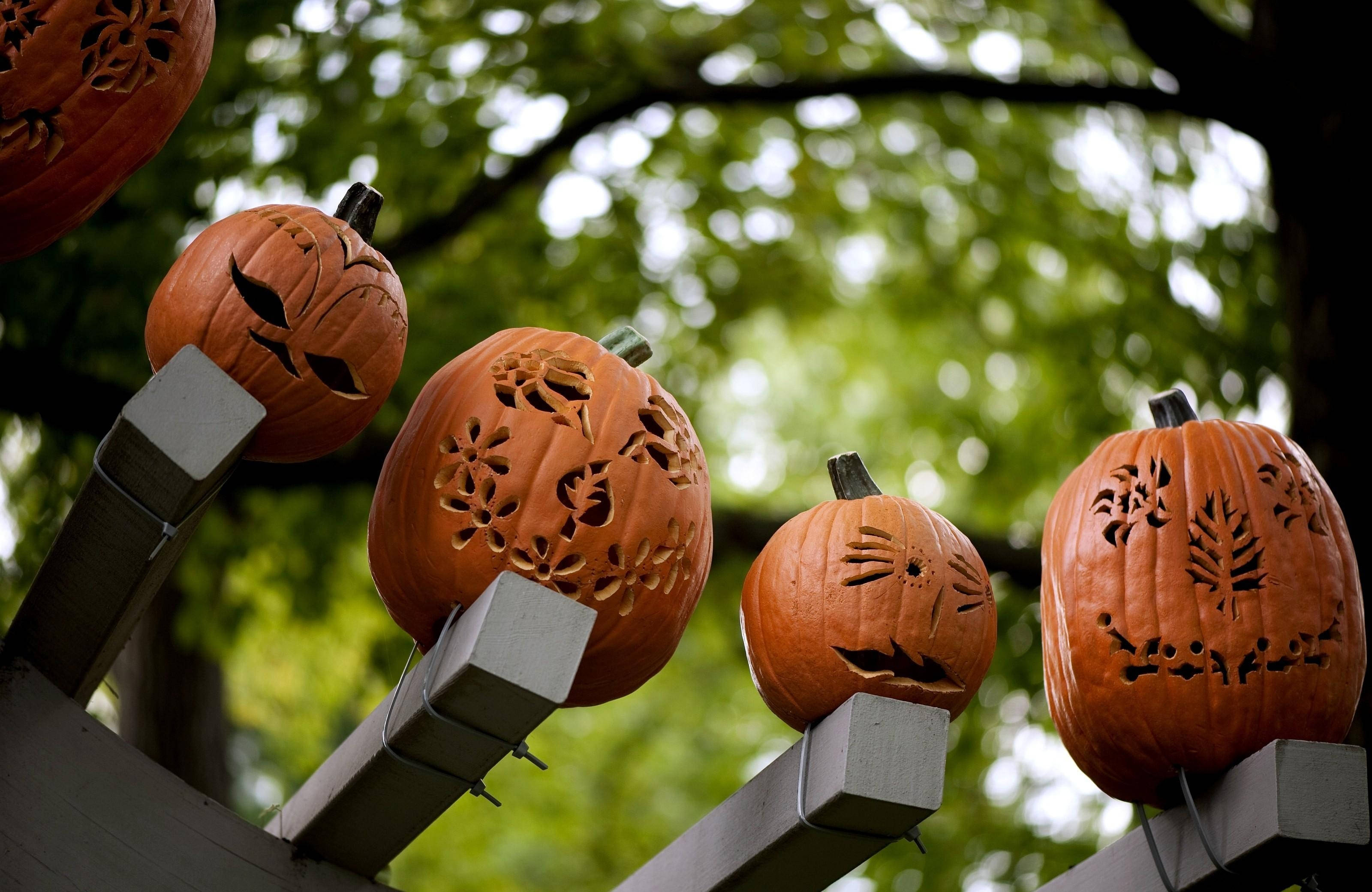 pumpkin, spooky faces, leaf patterns, 2K Desktop Wallpaper