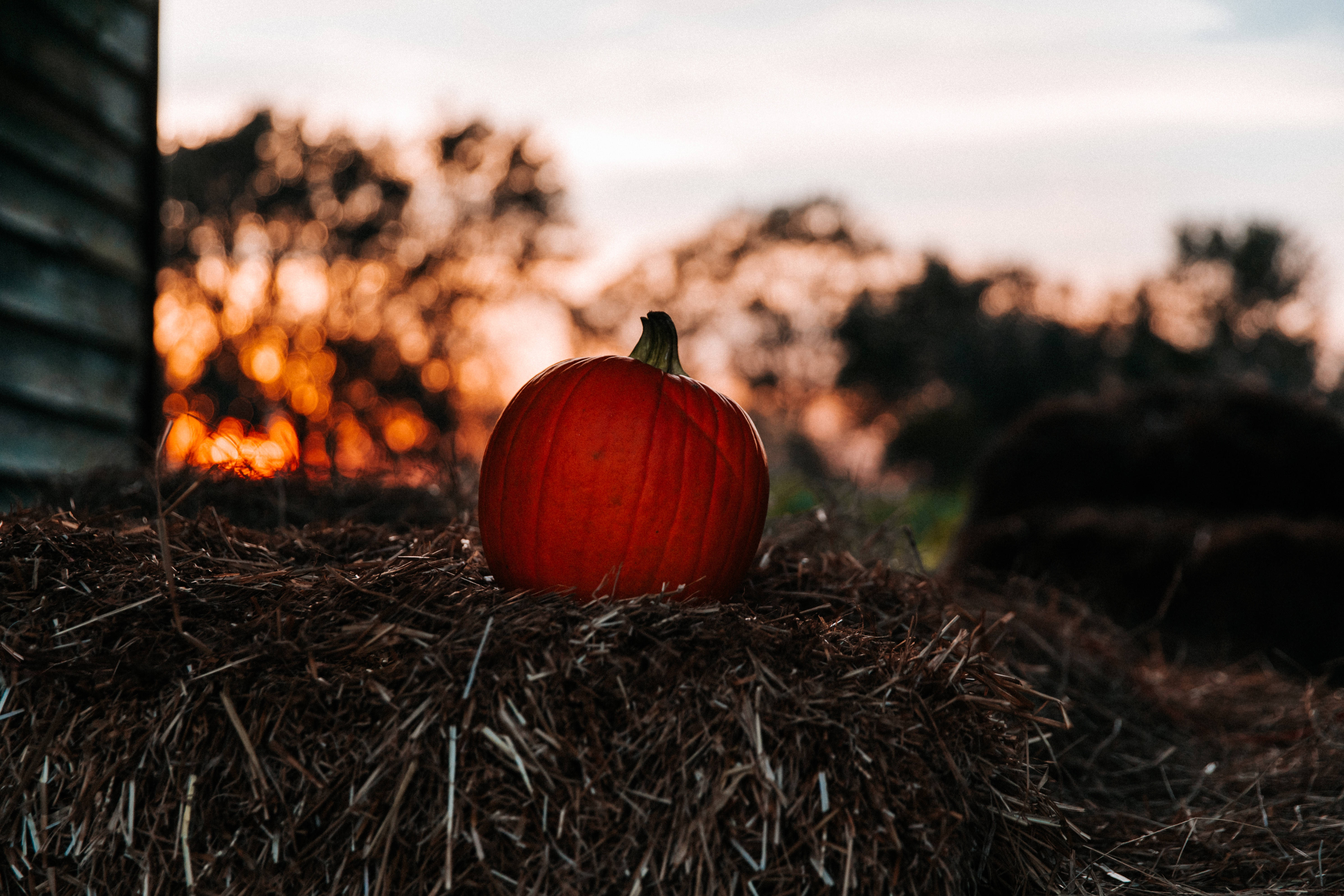 pumpkin, golden hay bale, warm sunset backdrop, 5K Desktop Wallpaper