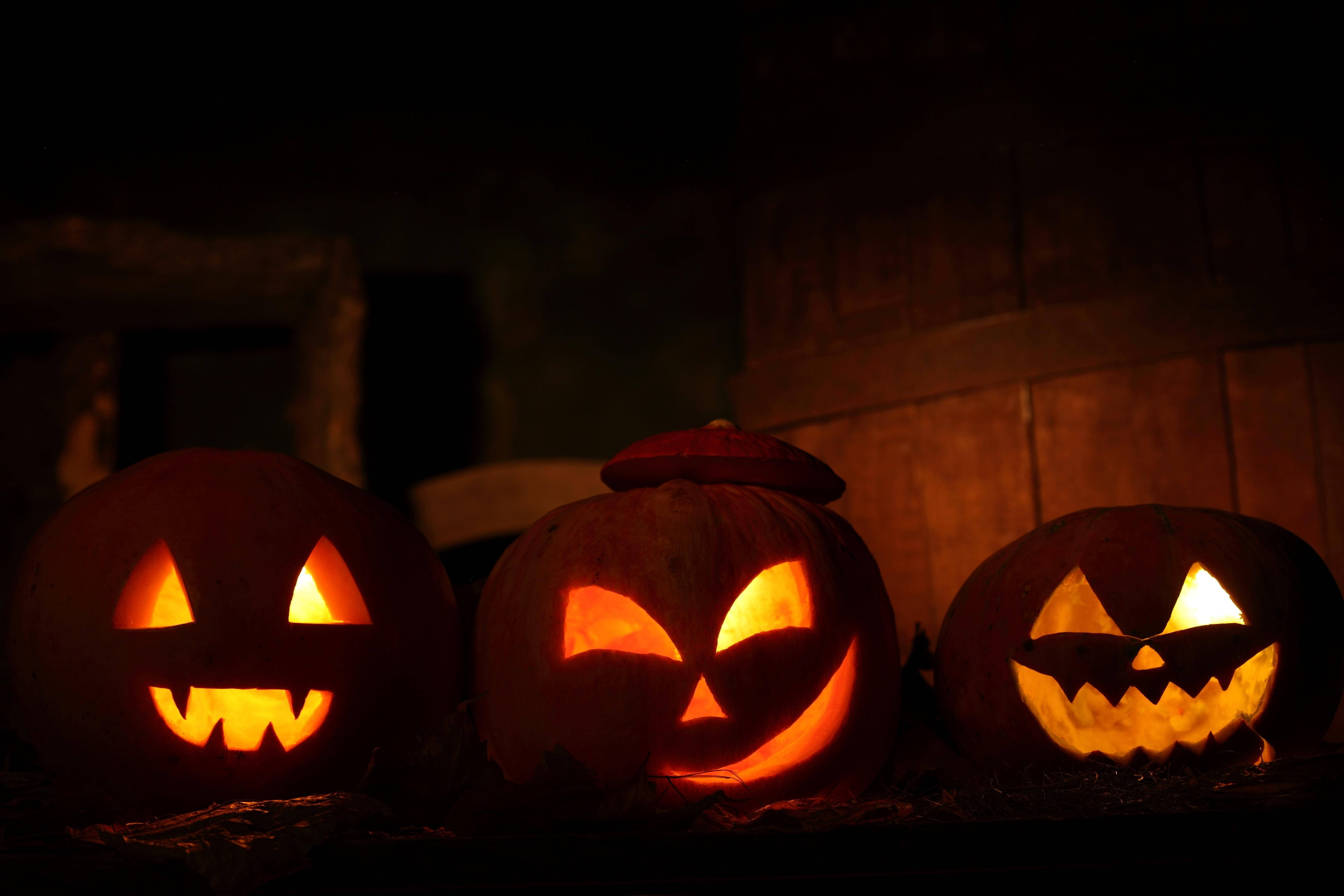 carved pumpkins, jack-o'-lanterns, full moon, 5K Desktop Wallpaper