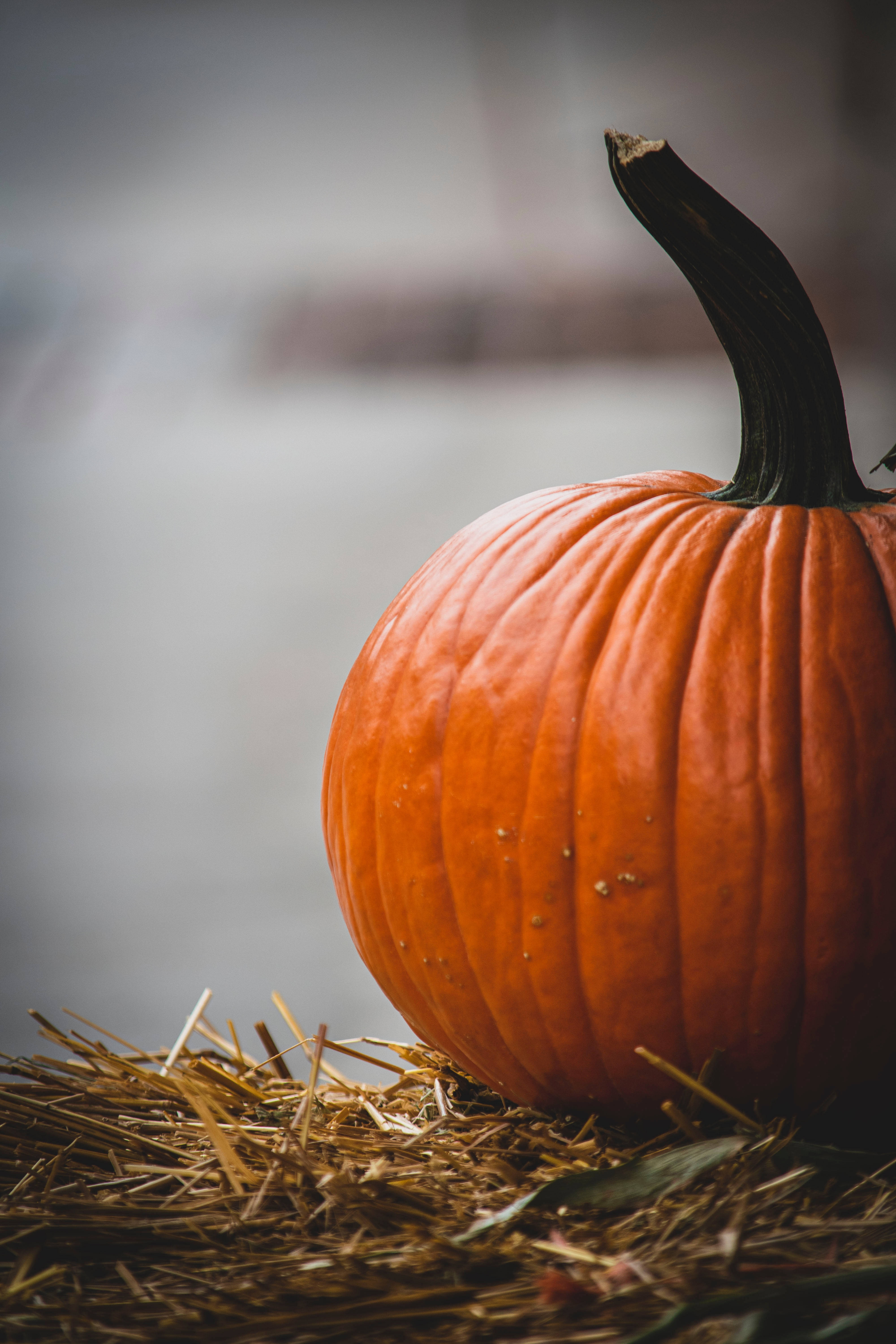 Pumpkin, vibrant orange, deep ridges, 5K Phone Wallpaper