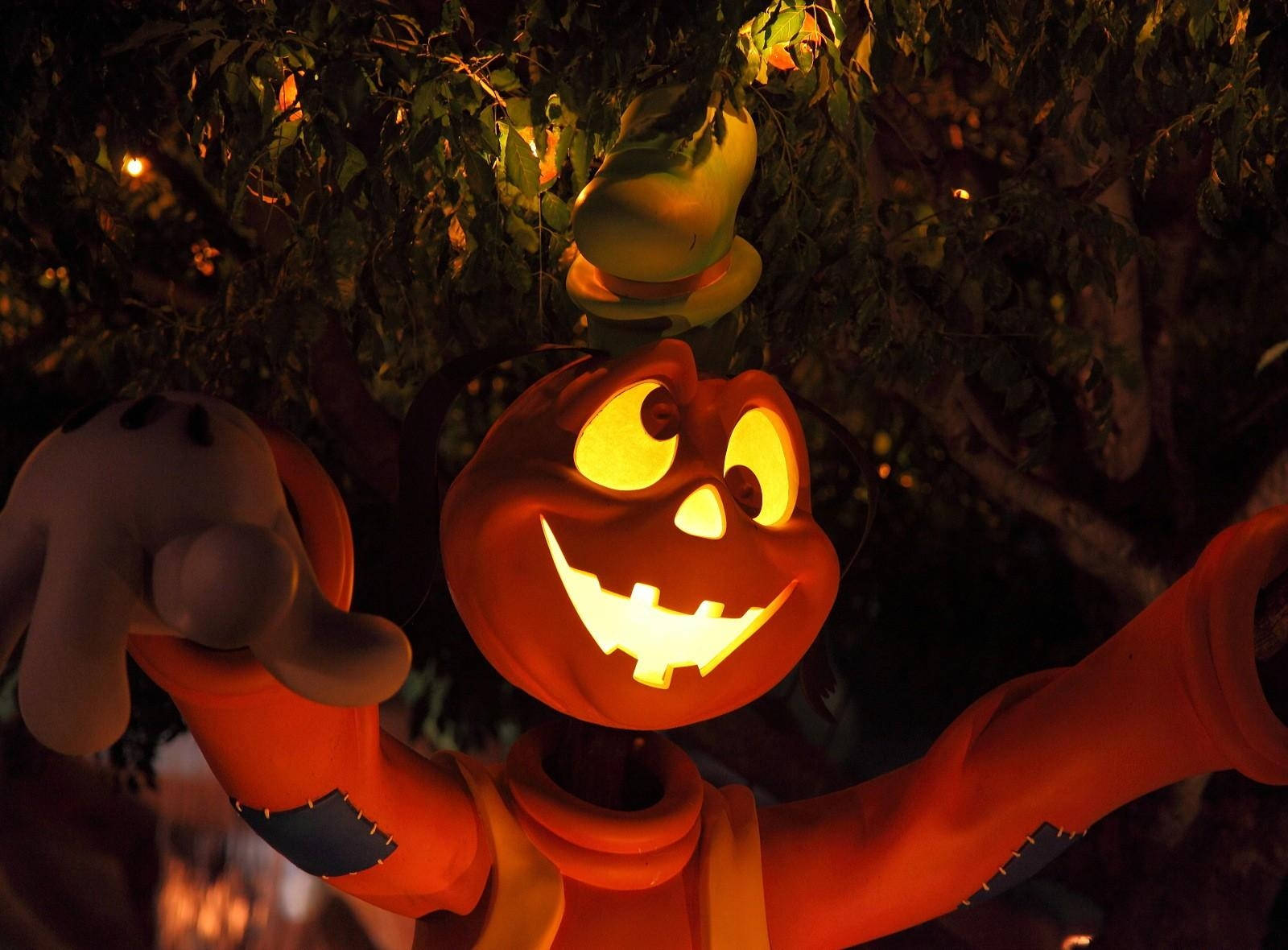 jack-o'-lantern, top hat, leafy trees, HD Desktop Wallpaper