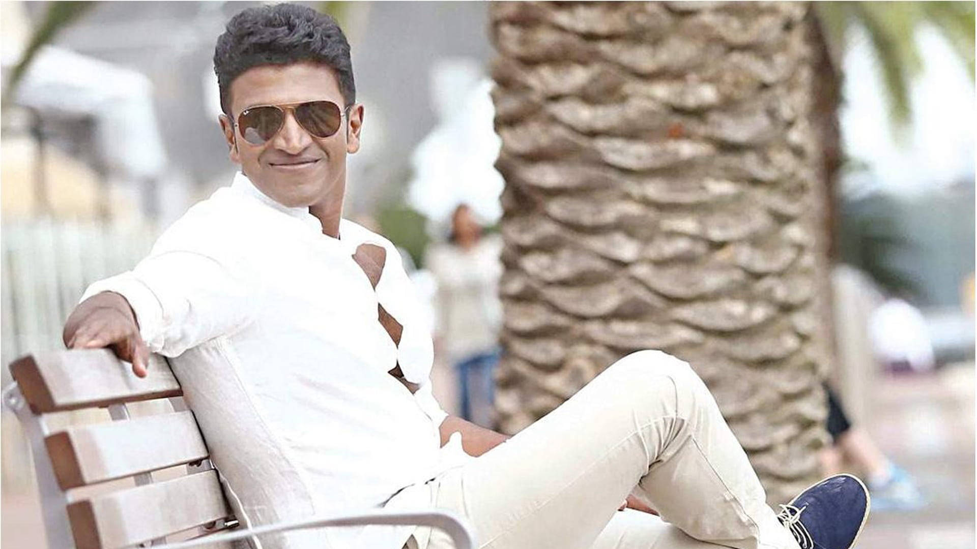 Puneeth Rajkumar, wooden bench, textured palm tree, Full HD Desktop Wallpaper