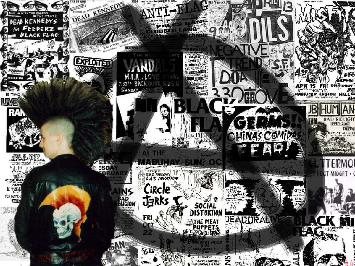 punk, mohawk, skull jacket, SD Desktop Wallpaper